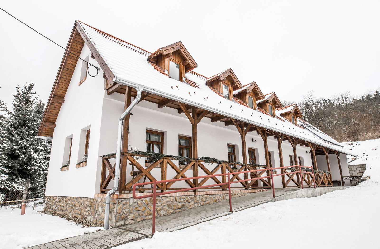 Vadrozsa Vendeghaz Szente