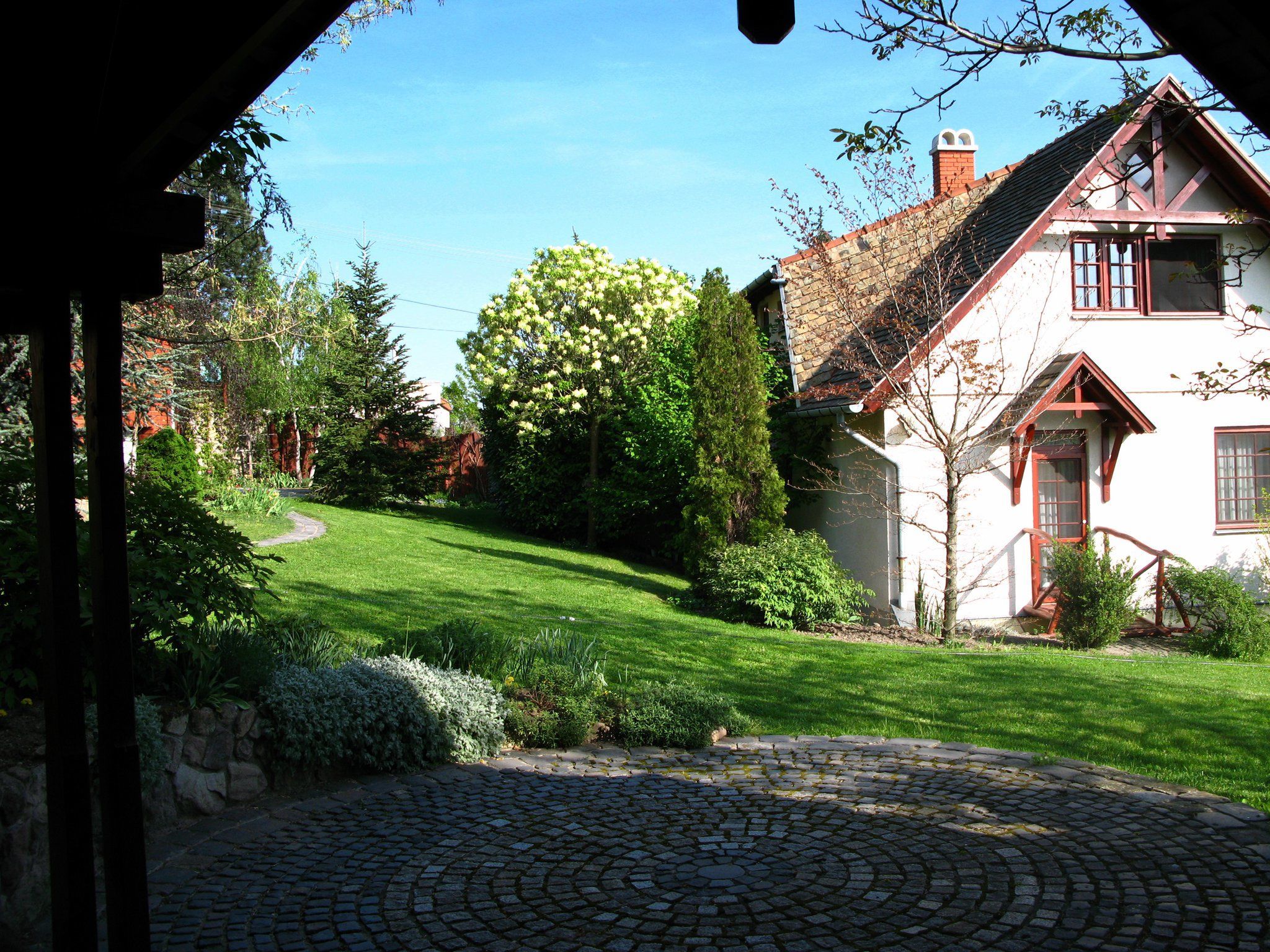 Vadrozsa Vendeghaz Szentendre
