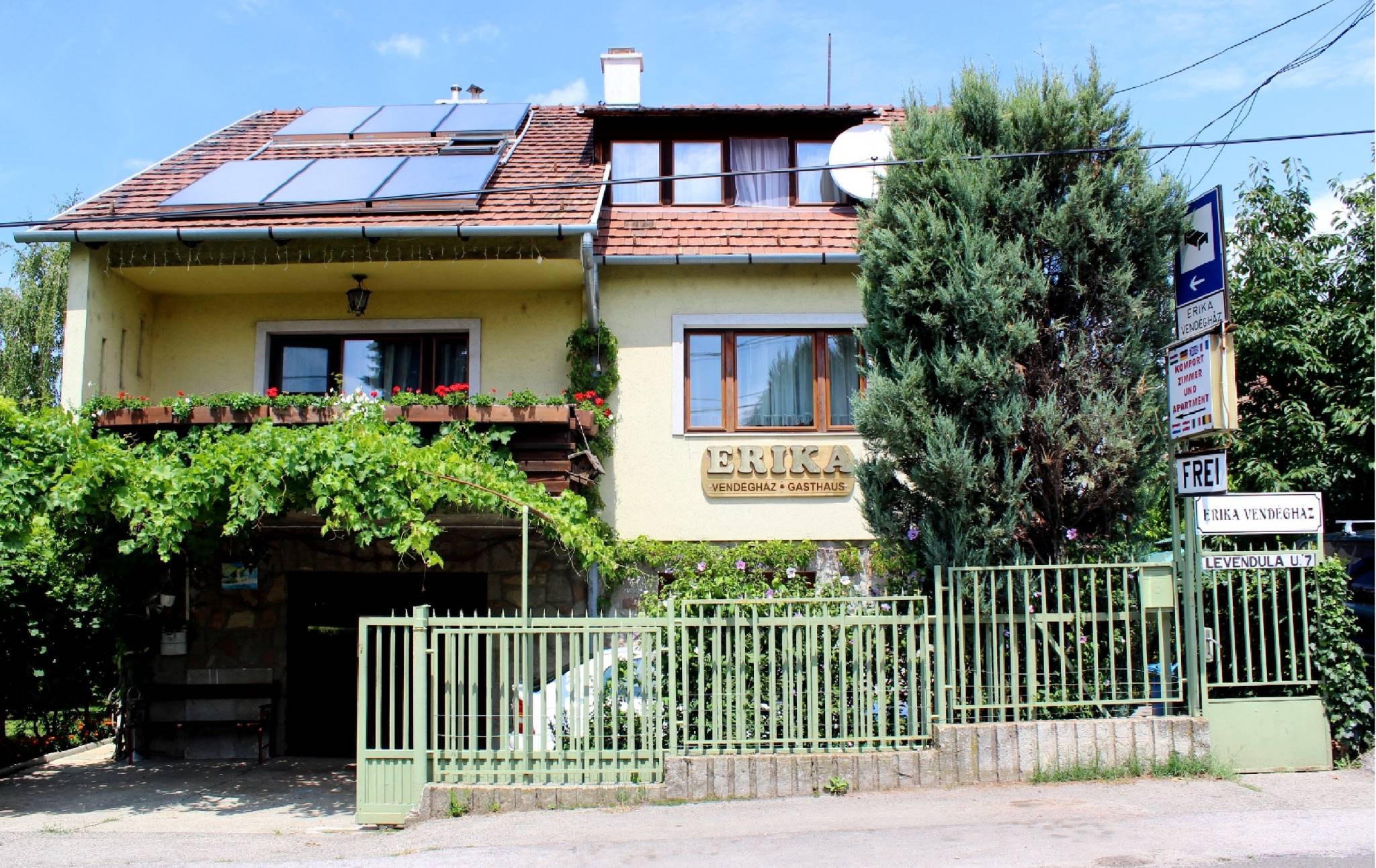 Erika Vendeghaz Szentendre