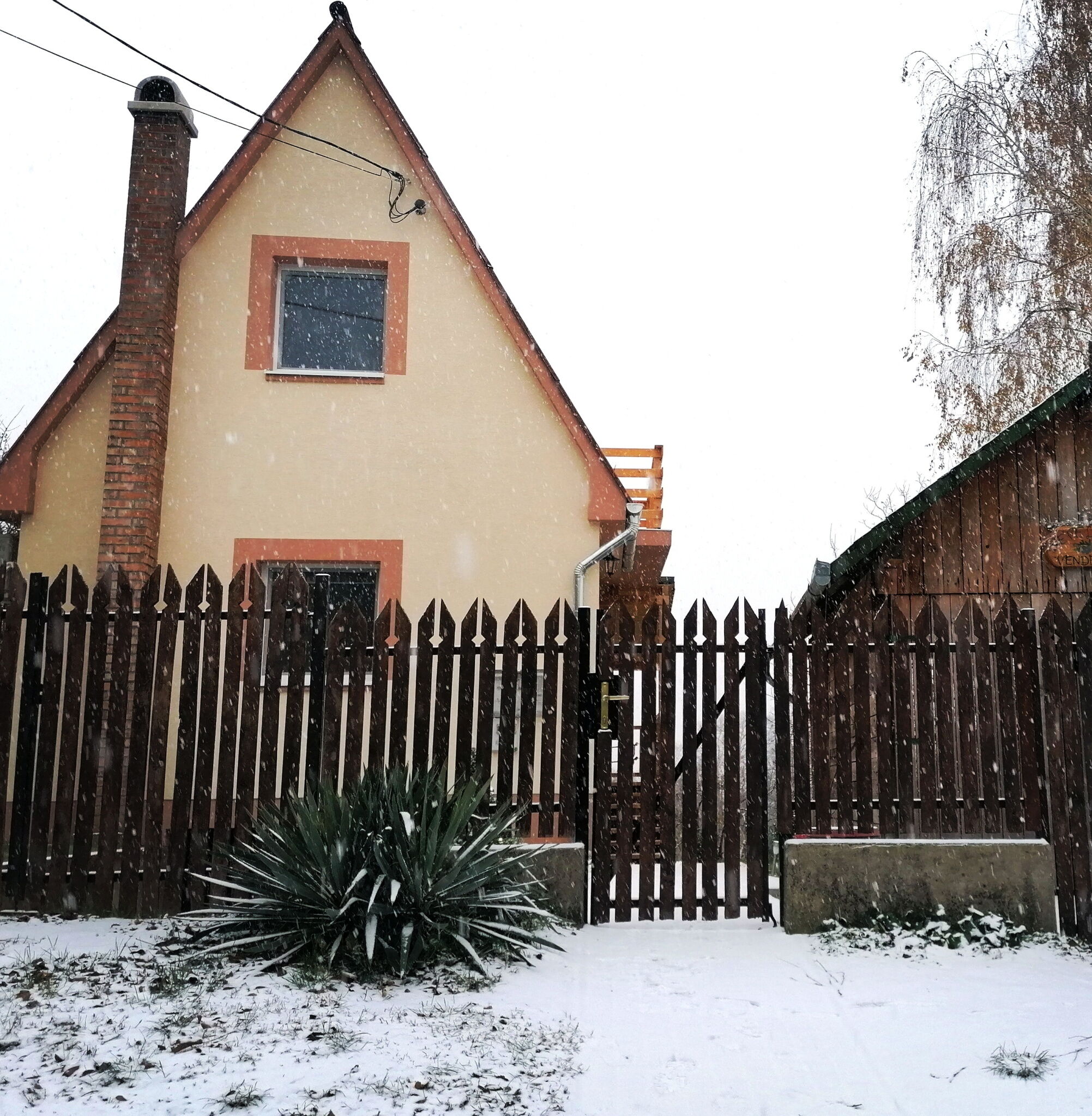 Nefelejcs Vendeghaz Zebegeny