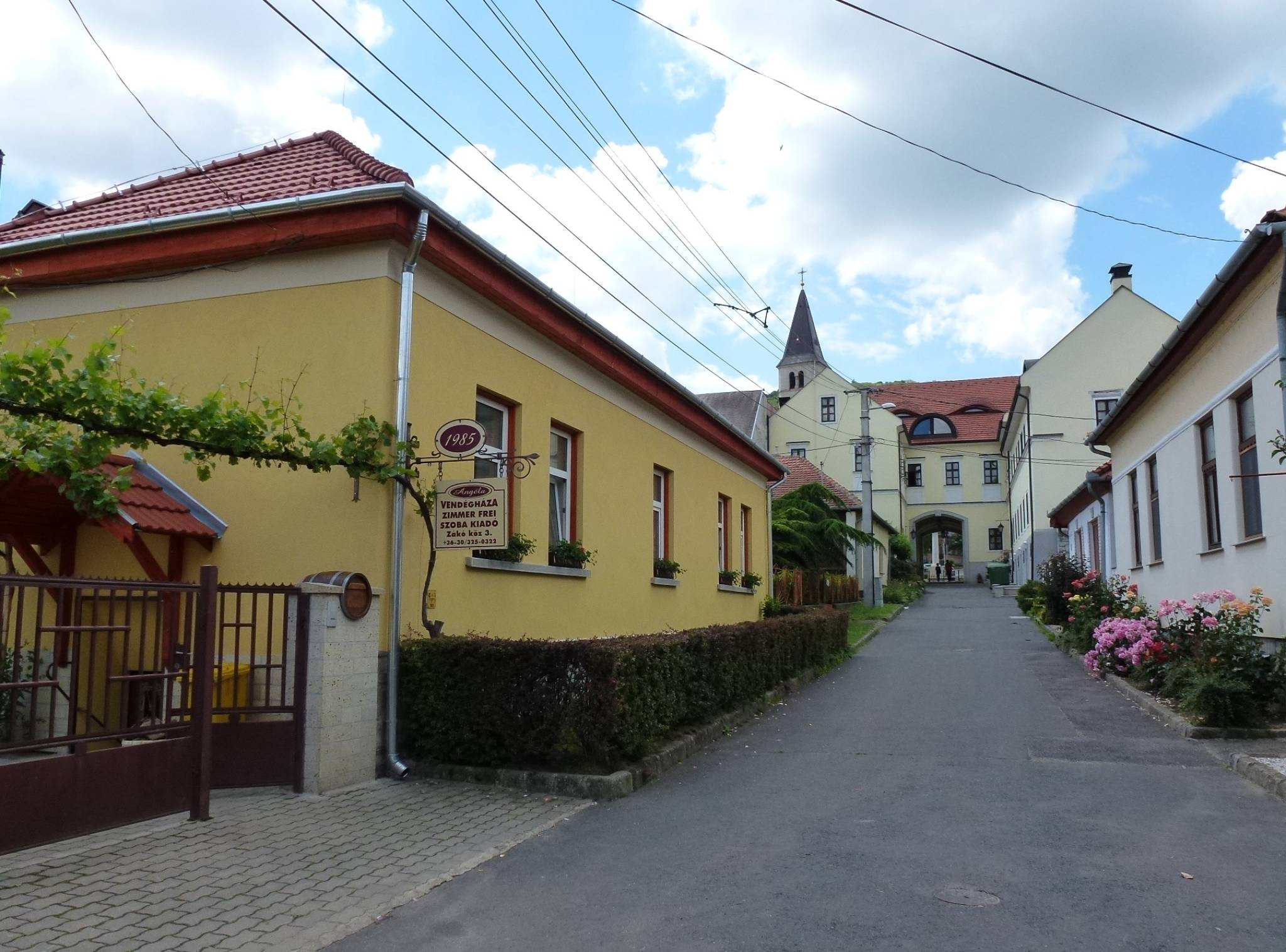 Angela Vendeghaz Tokaj