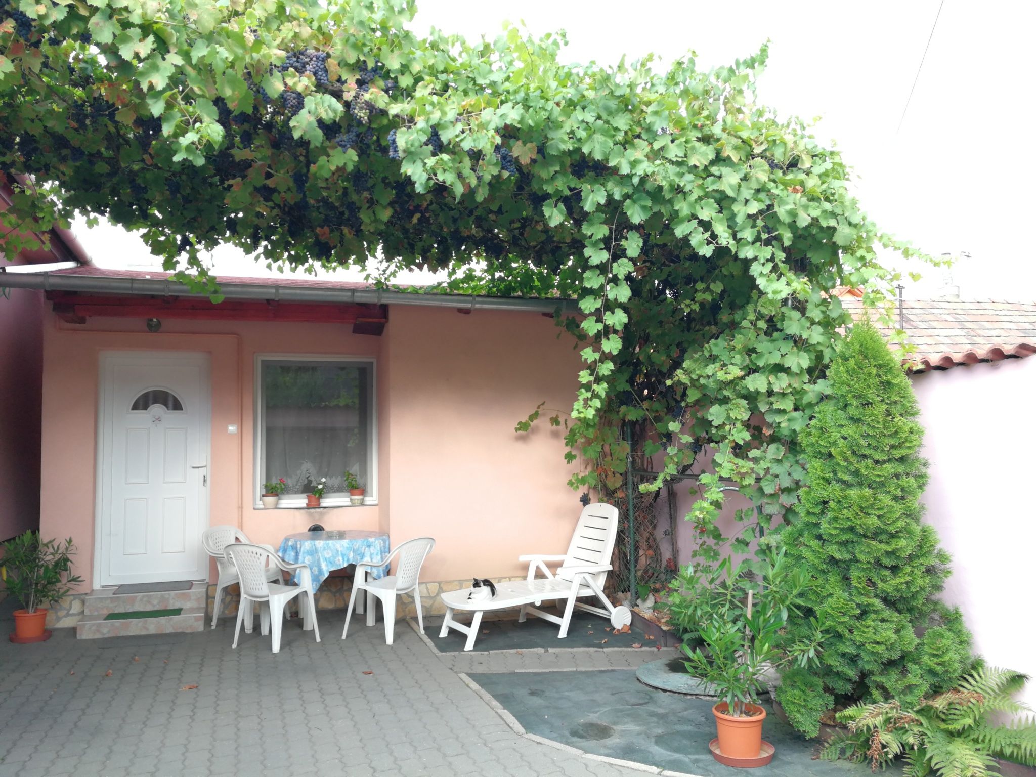 Kinga Vendeghaz Tokaj