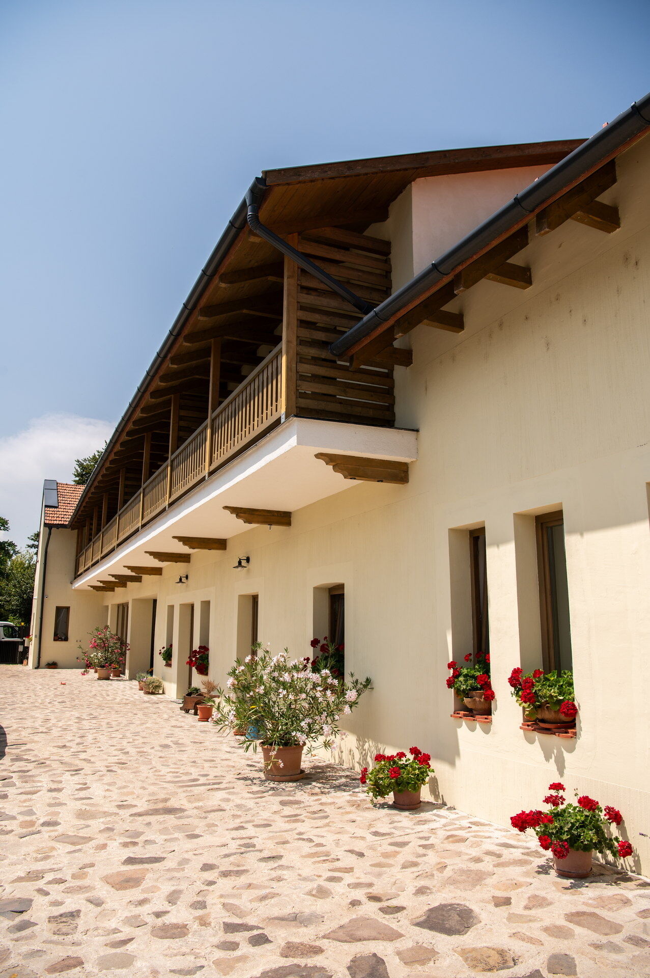 Tokaji Dulo Vendeghaz Tokaj