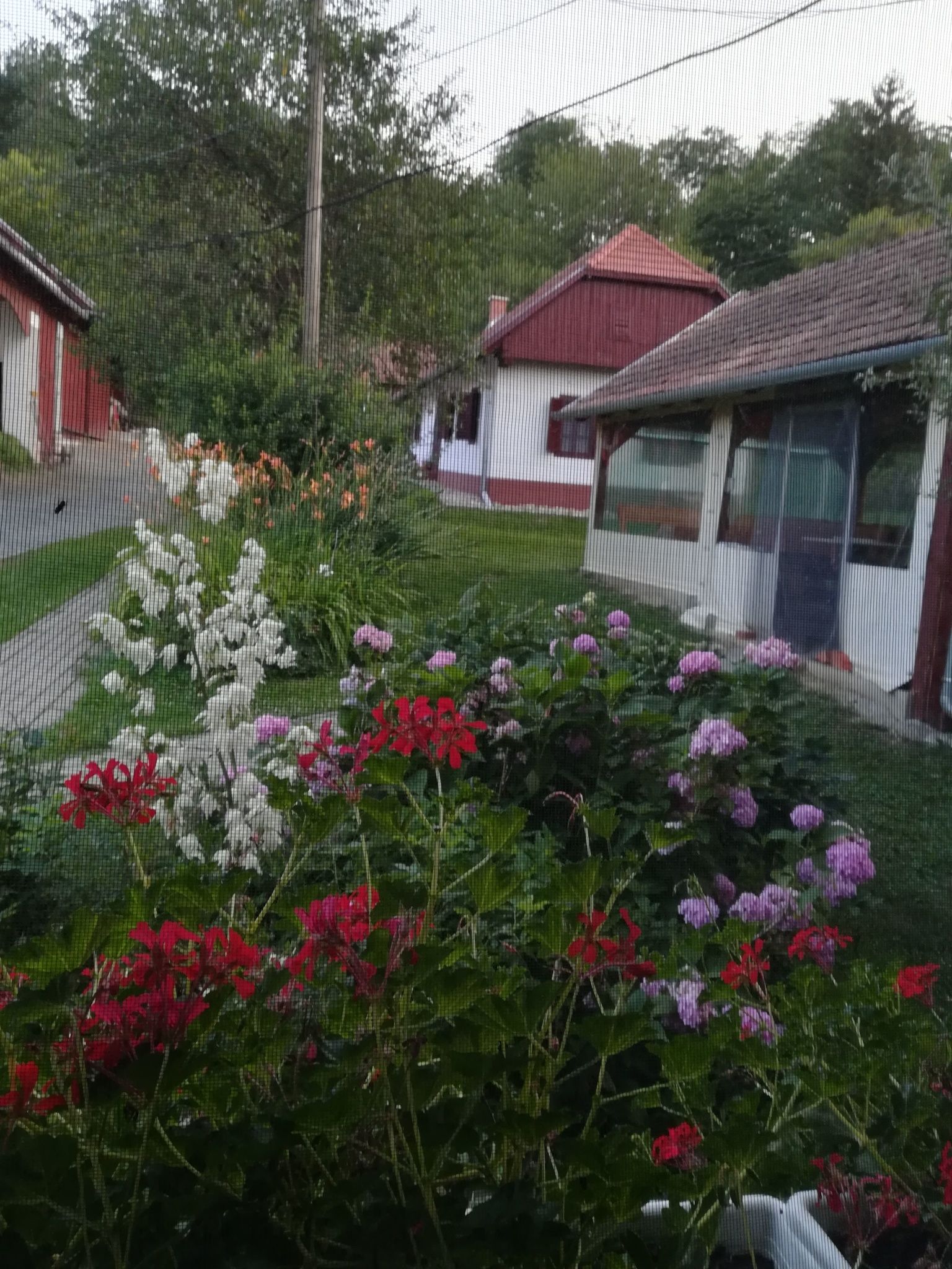 Kisaranyos Vendeghaz Velemer
