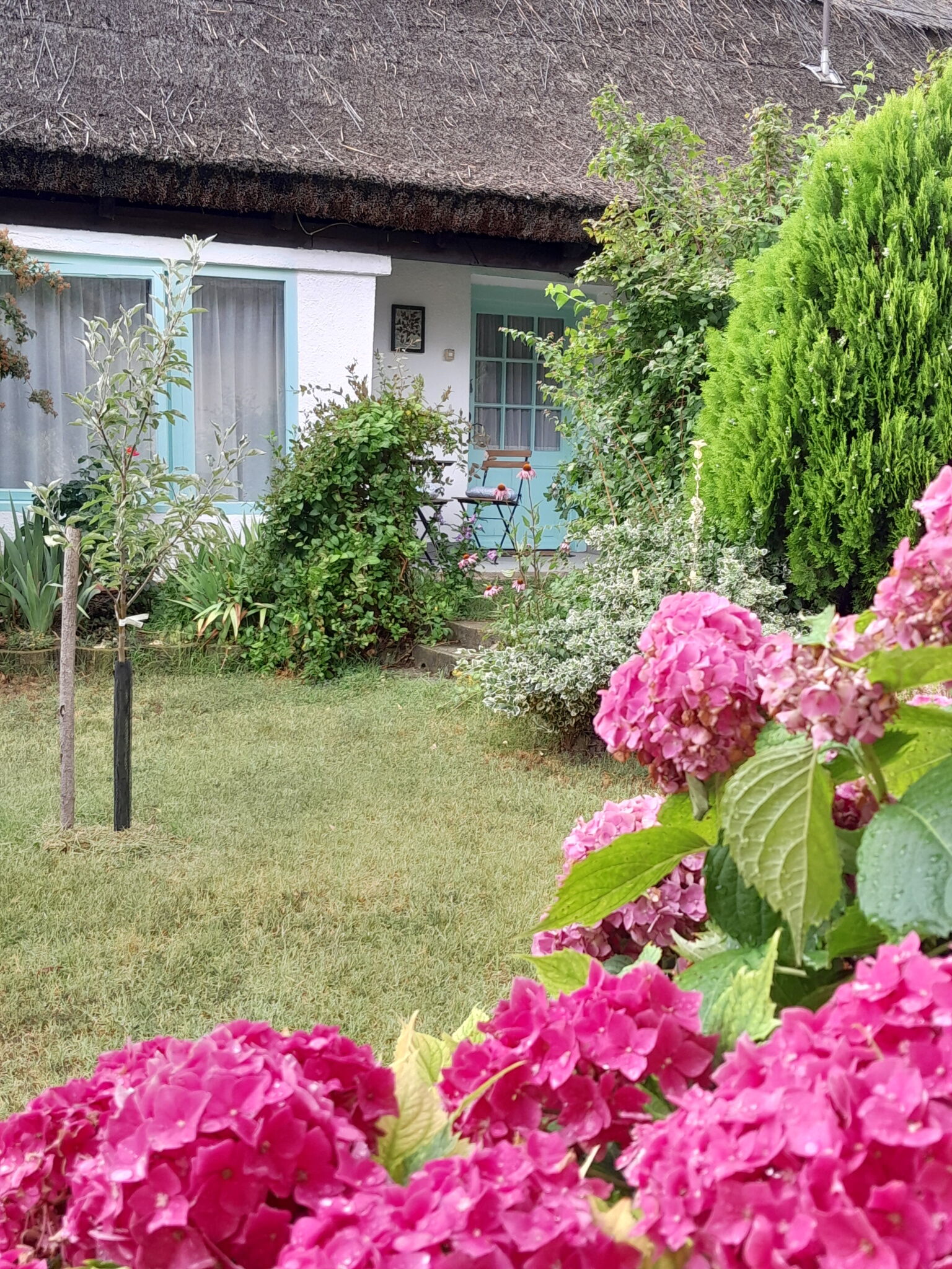 Ketpatkos Vendeghaz Vonyarcvashegy