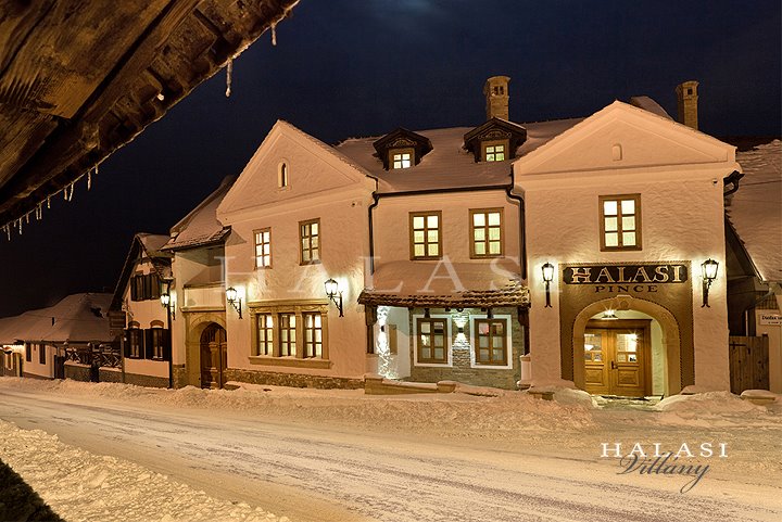 Halasi Pince Panzio Etterem Villany