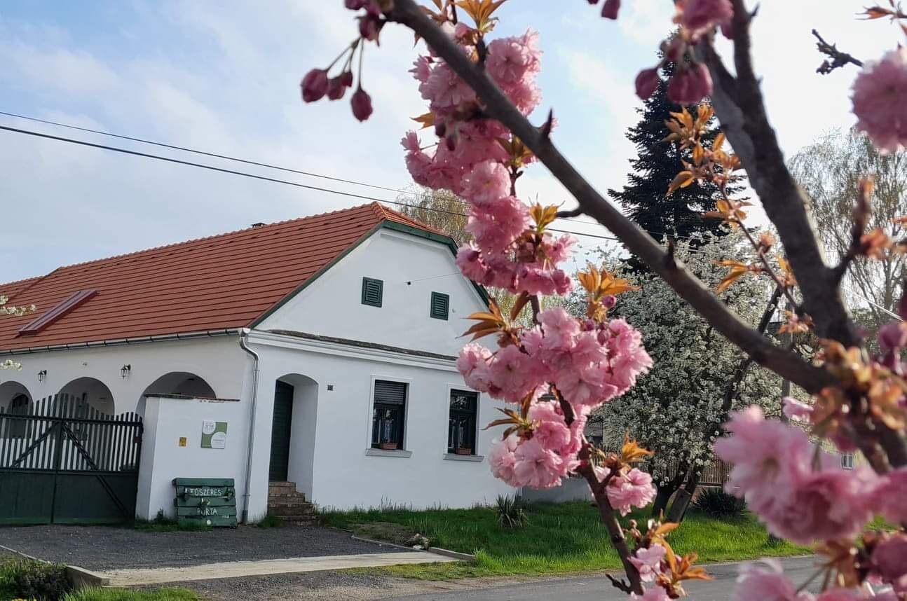 Fuszeres Porta Mihalyfa