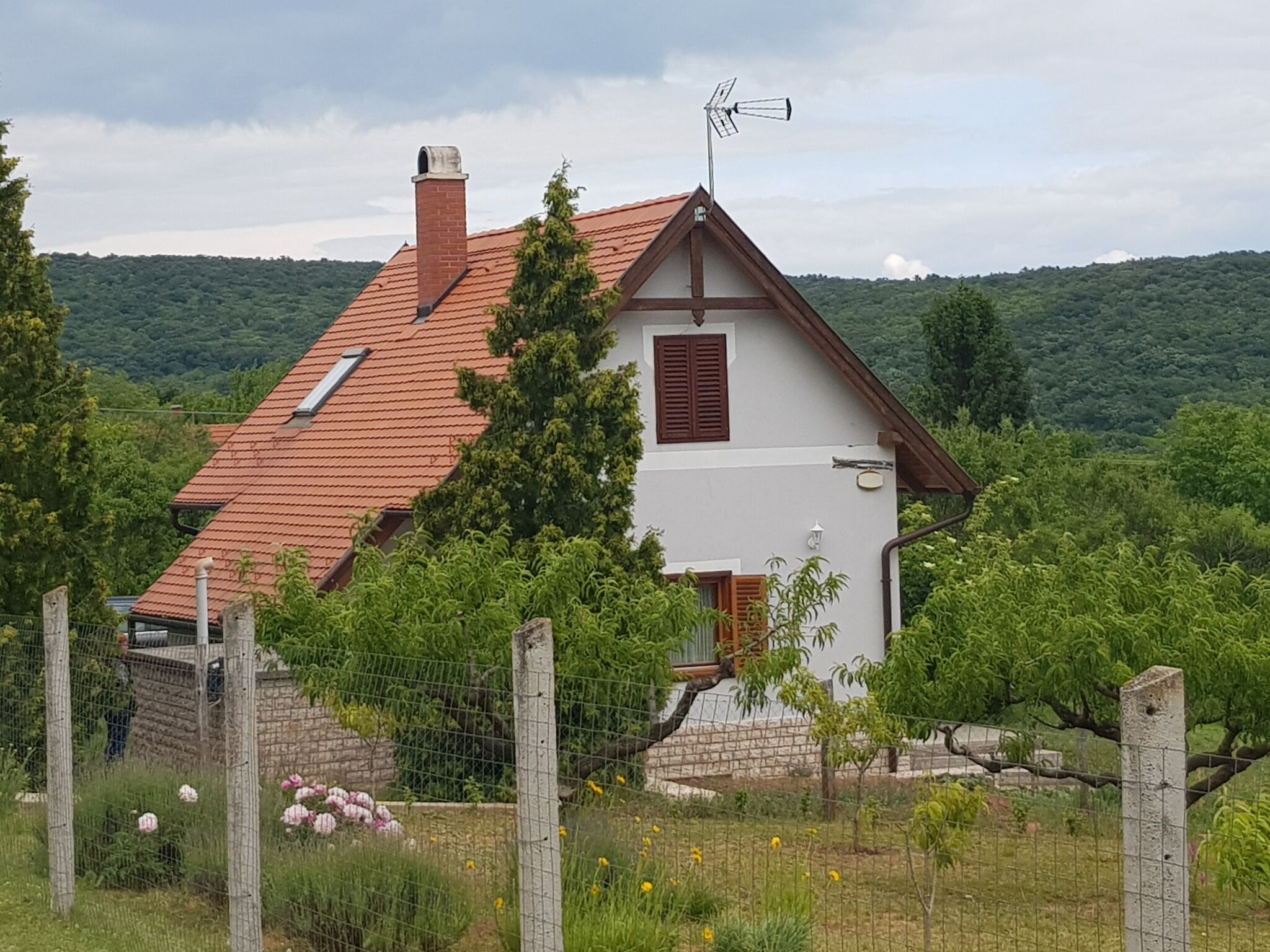 Rizlinger Apartman Felsoors