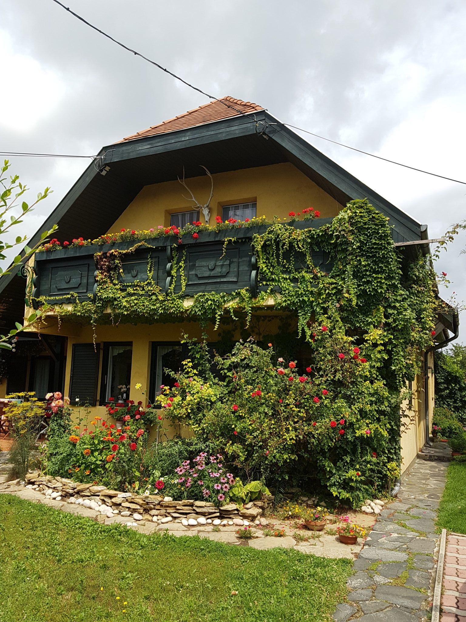 Trofea Apartman Gyenesdias