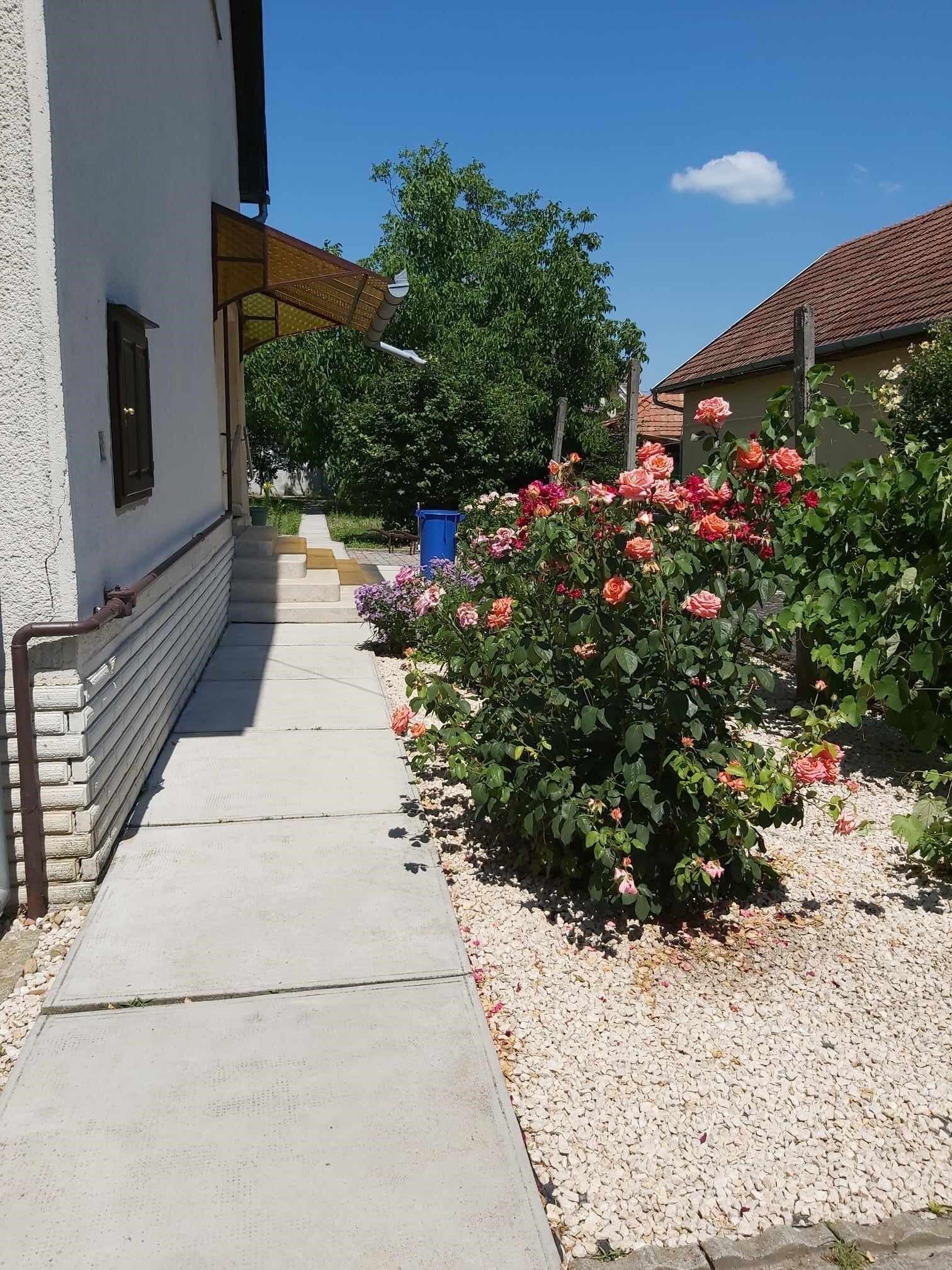 Szitakoto Apartman Gyula