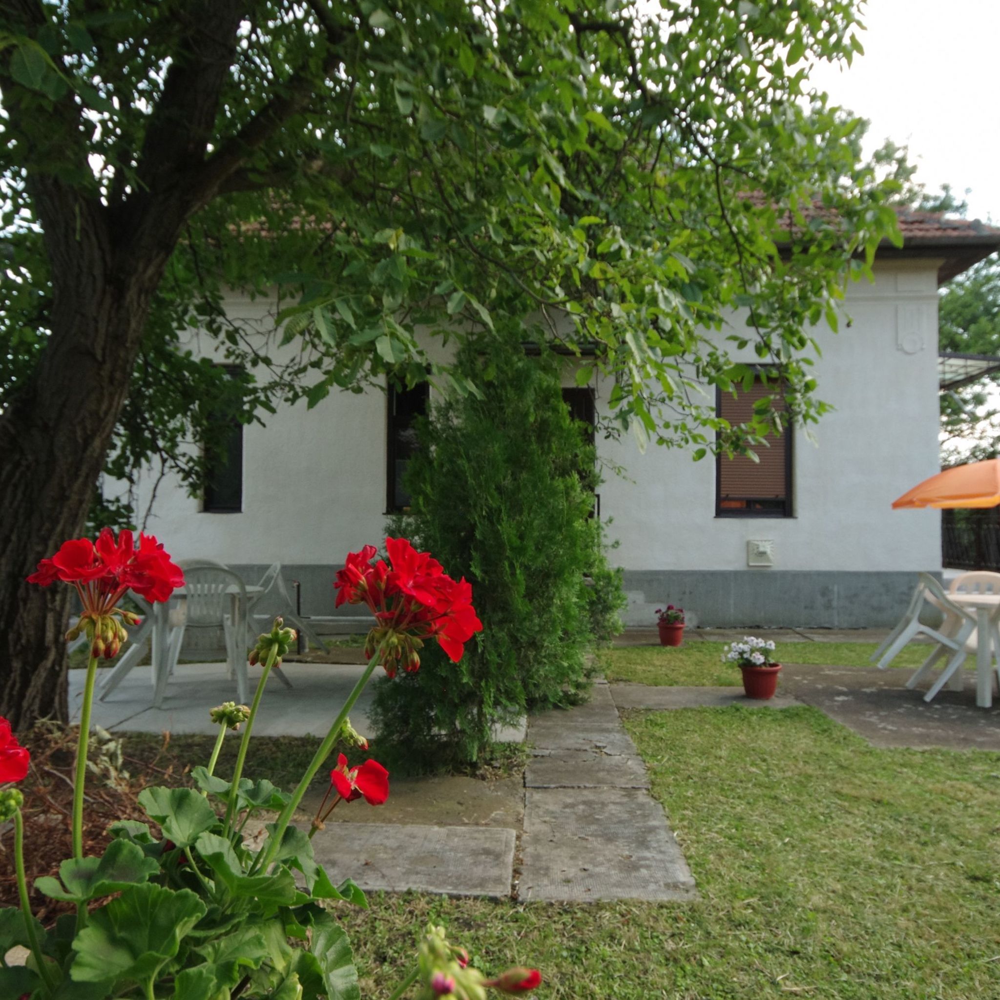 Ezustfenyo Apartman Gyula