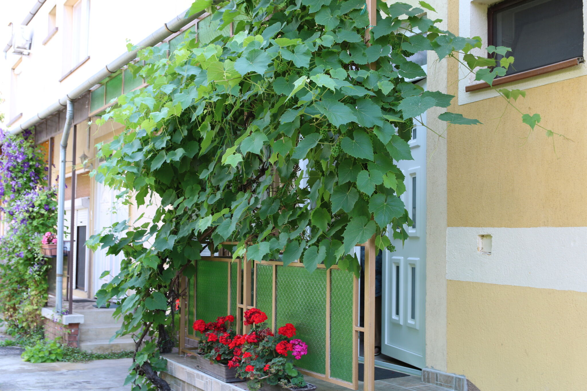 Hajnalka Apartmanhaz Gyula