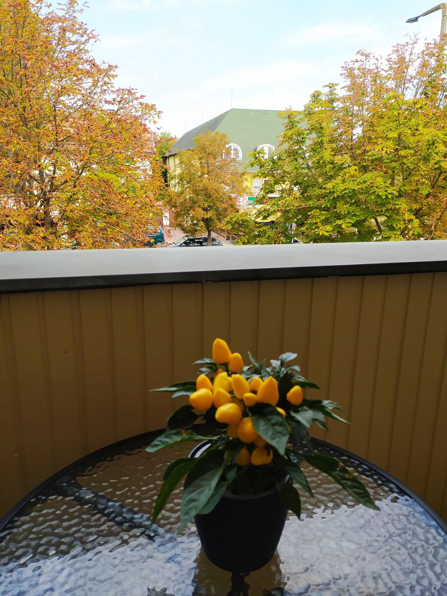 Chili Apartman Harkany