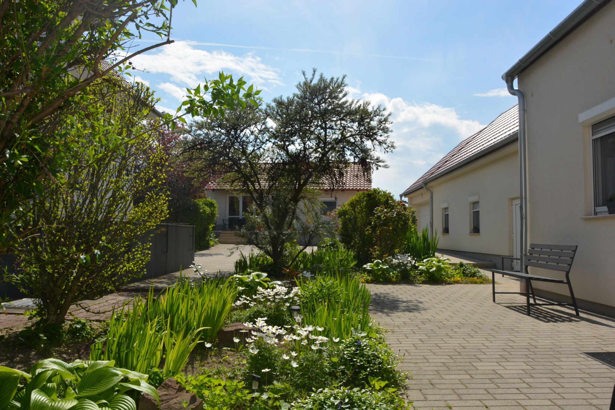 Csenar Apartman Iv Hegyko
