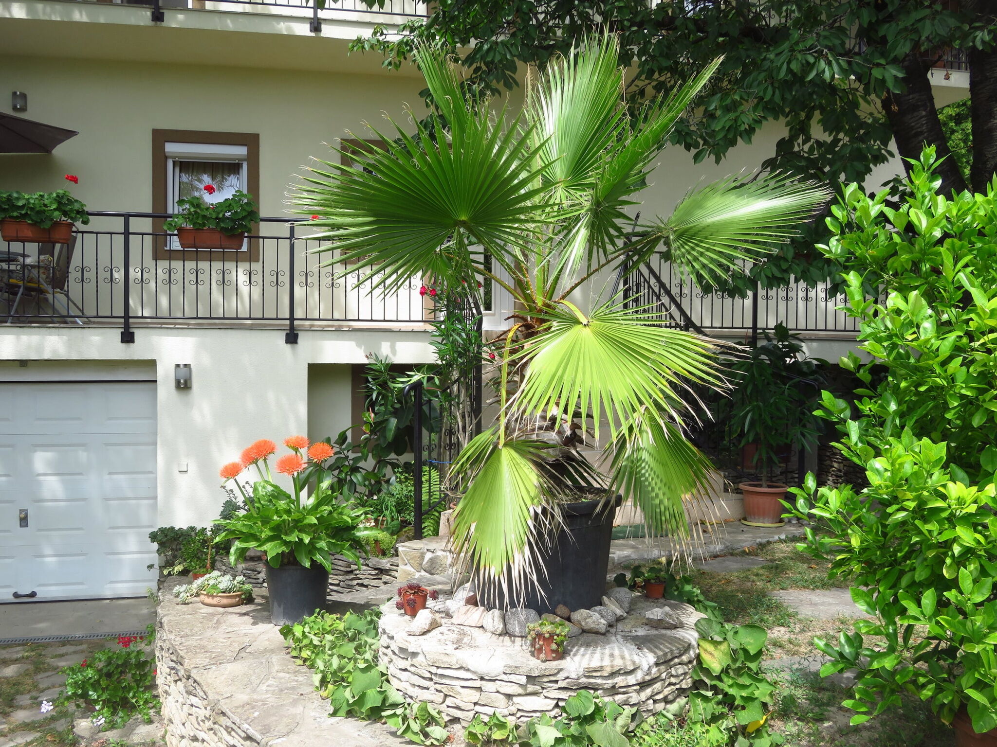 Kovirag Apartman Heviz