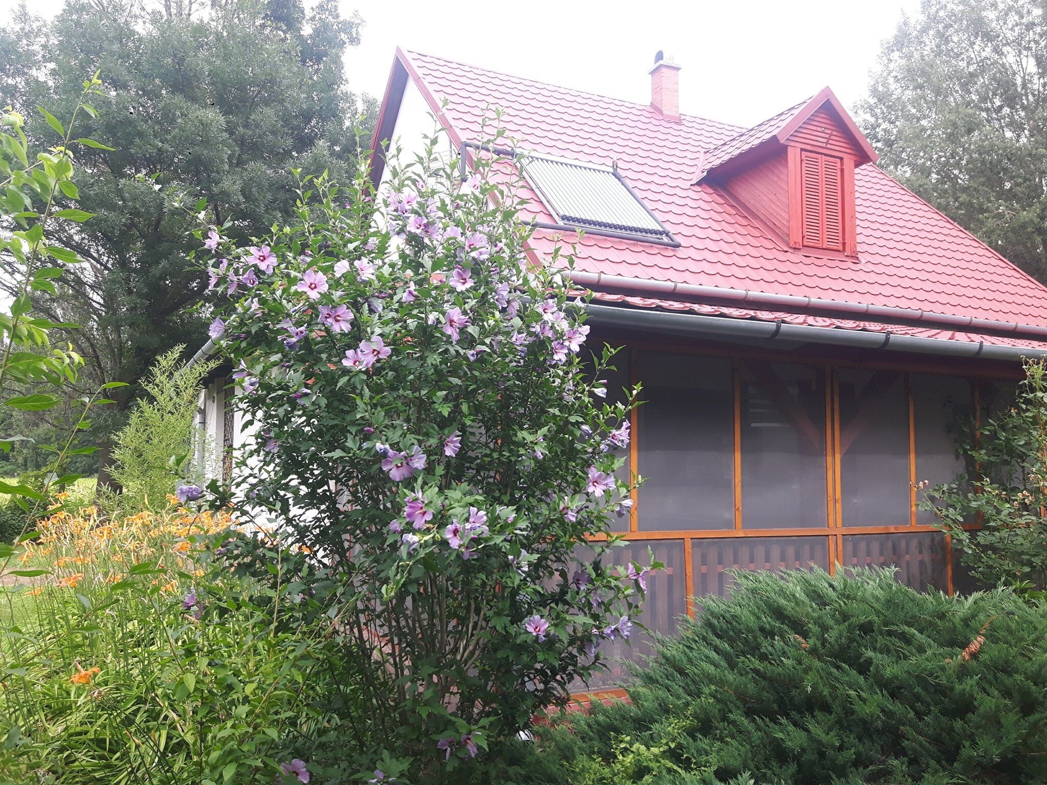 Tiszai Vandor Apartmanhaz Kiskore
