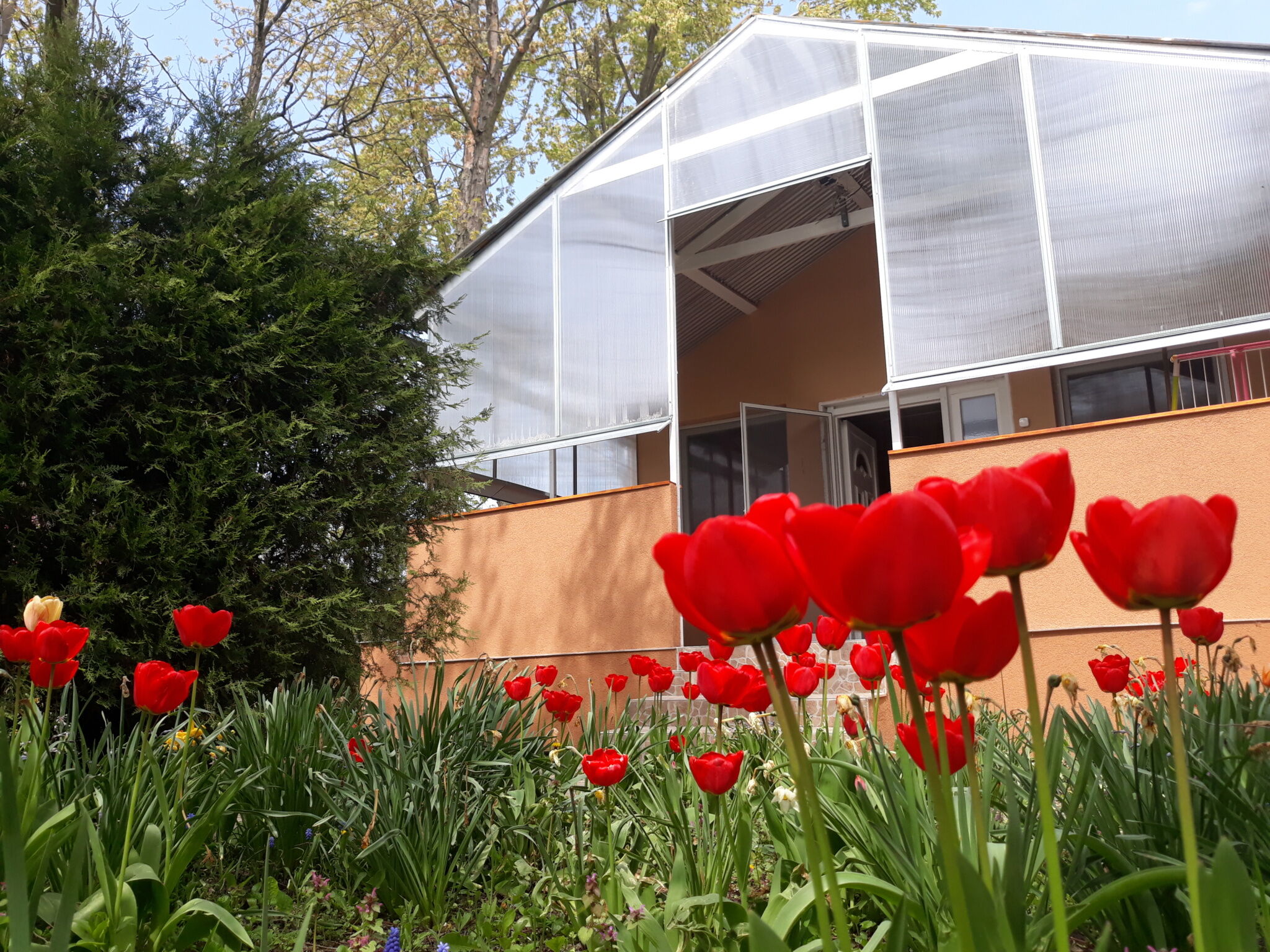 Peresi Vizparti Apartman Mezotur