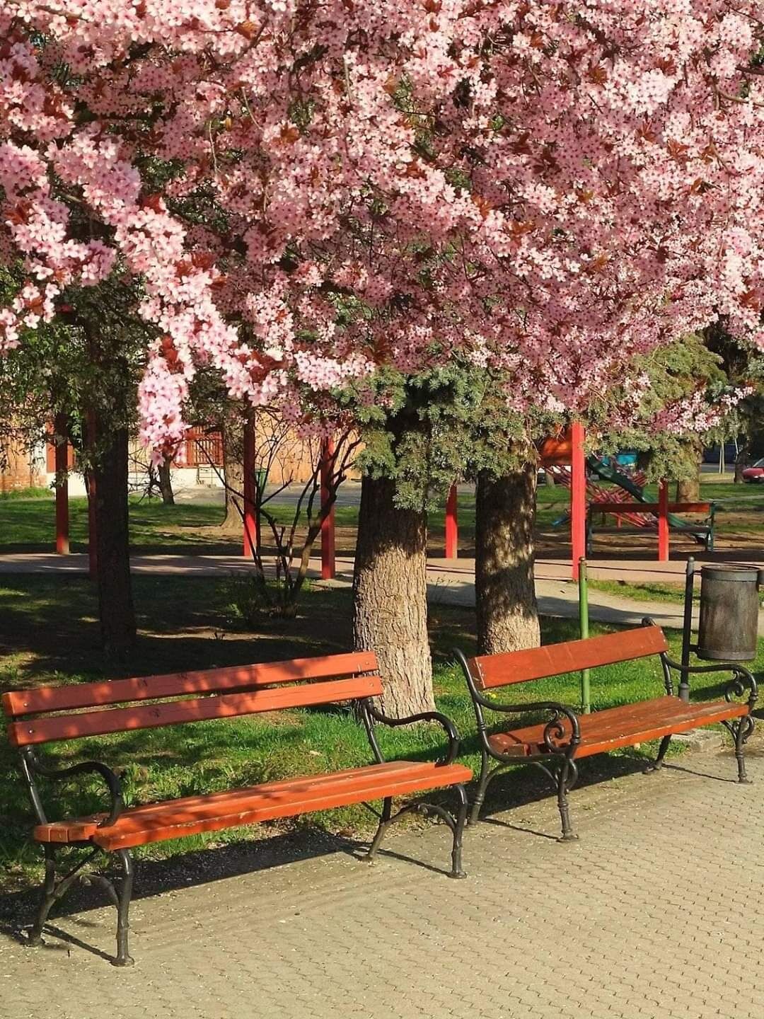 Csendespiheno Apartman Miskolc