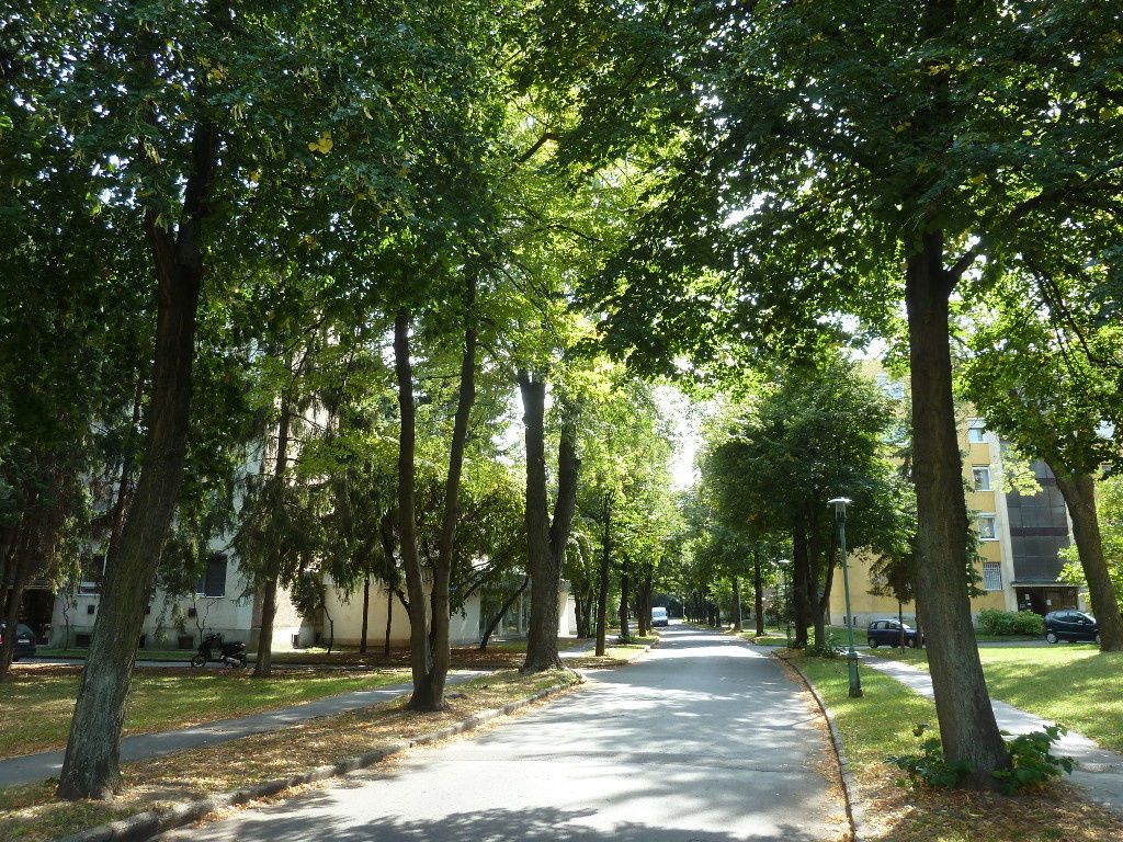 Knedli Apartman Miskolc
