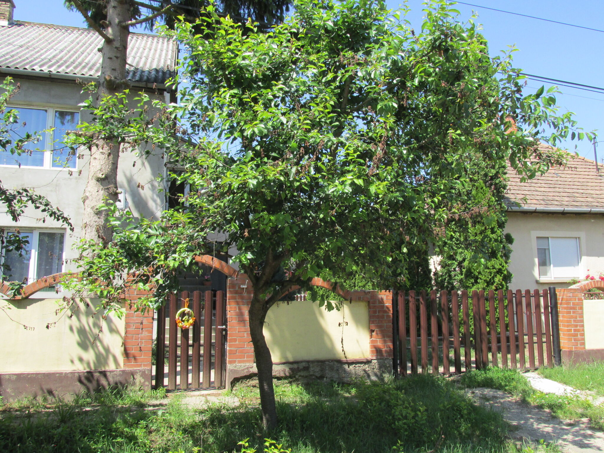 Mn Apartman Magyarnandor