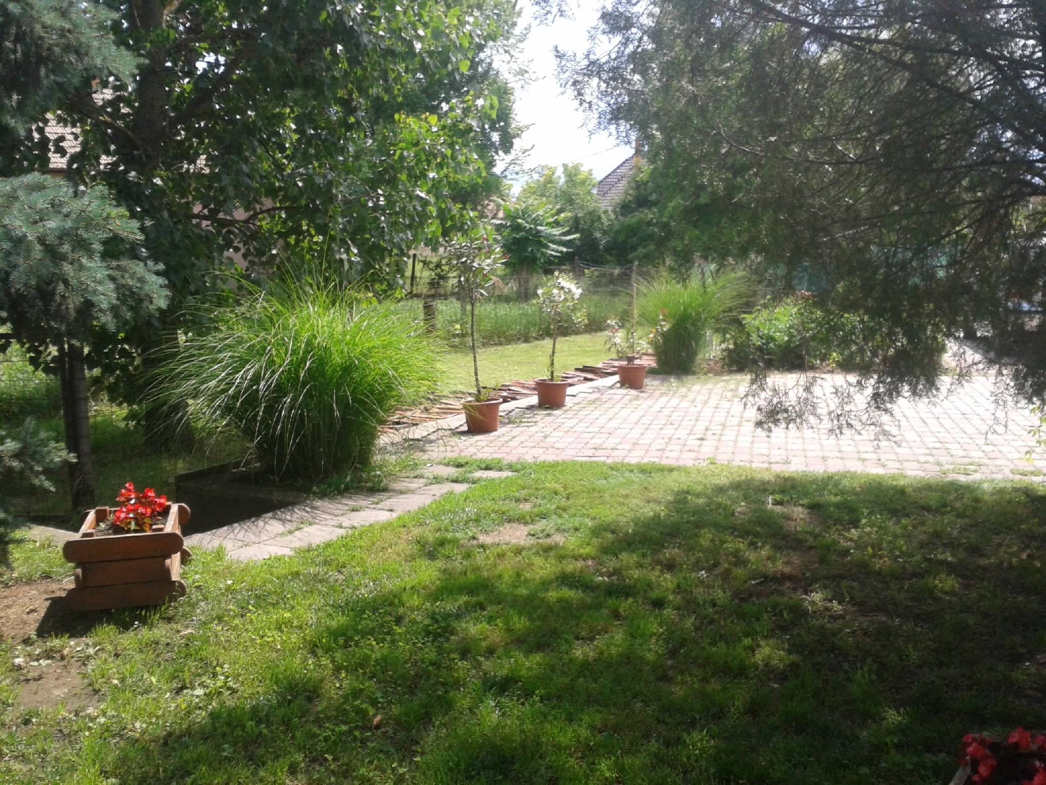 Boroka Apartman Sarud