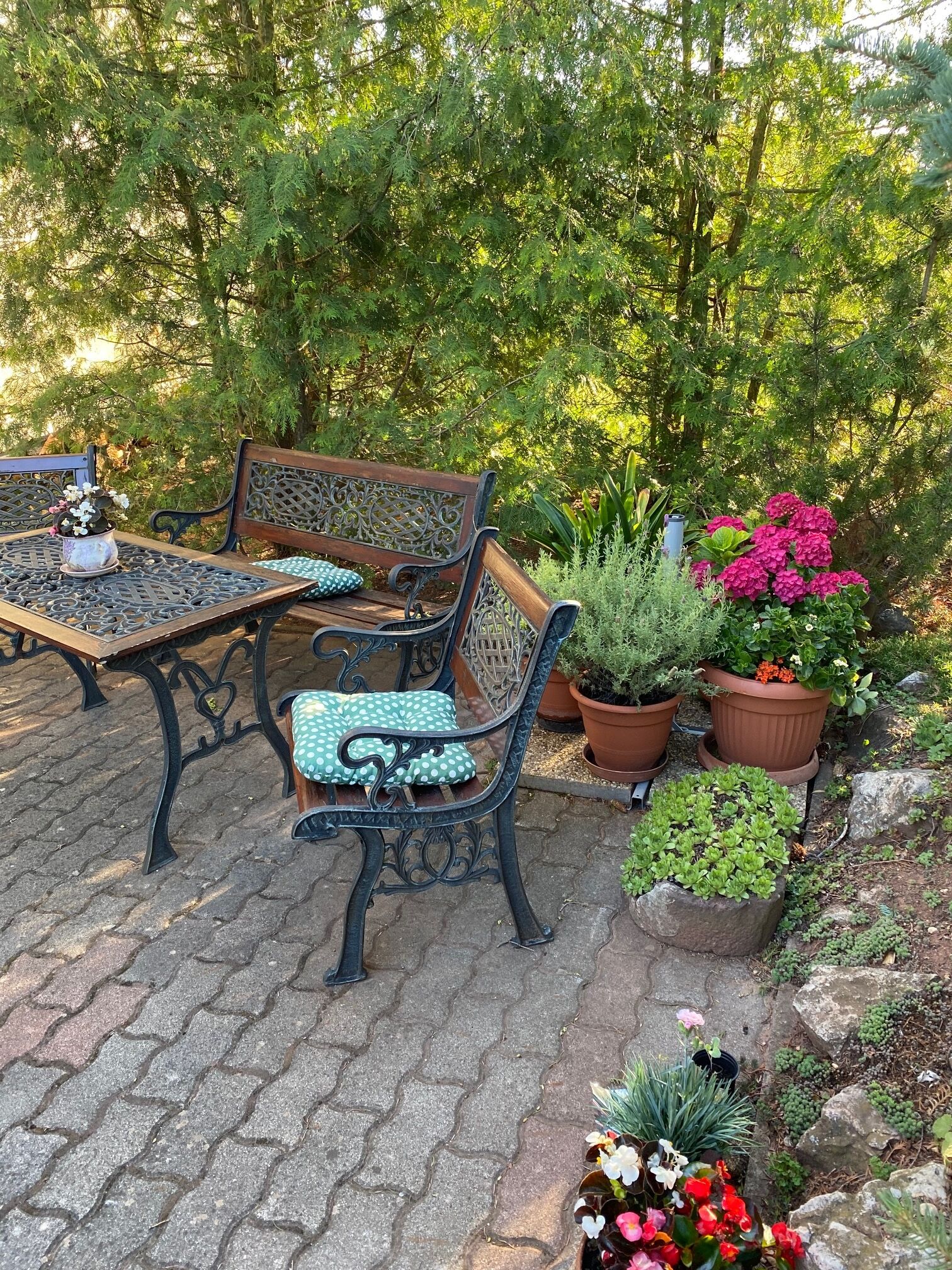 Eszter Apartman Paloznak