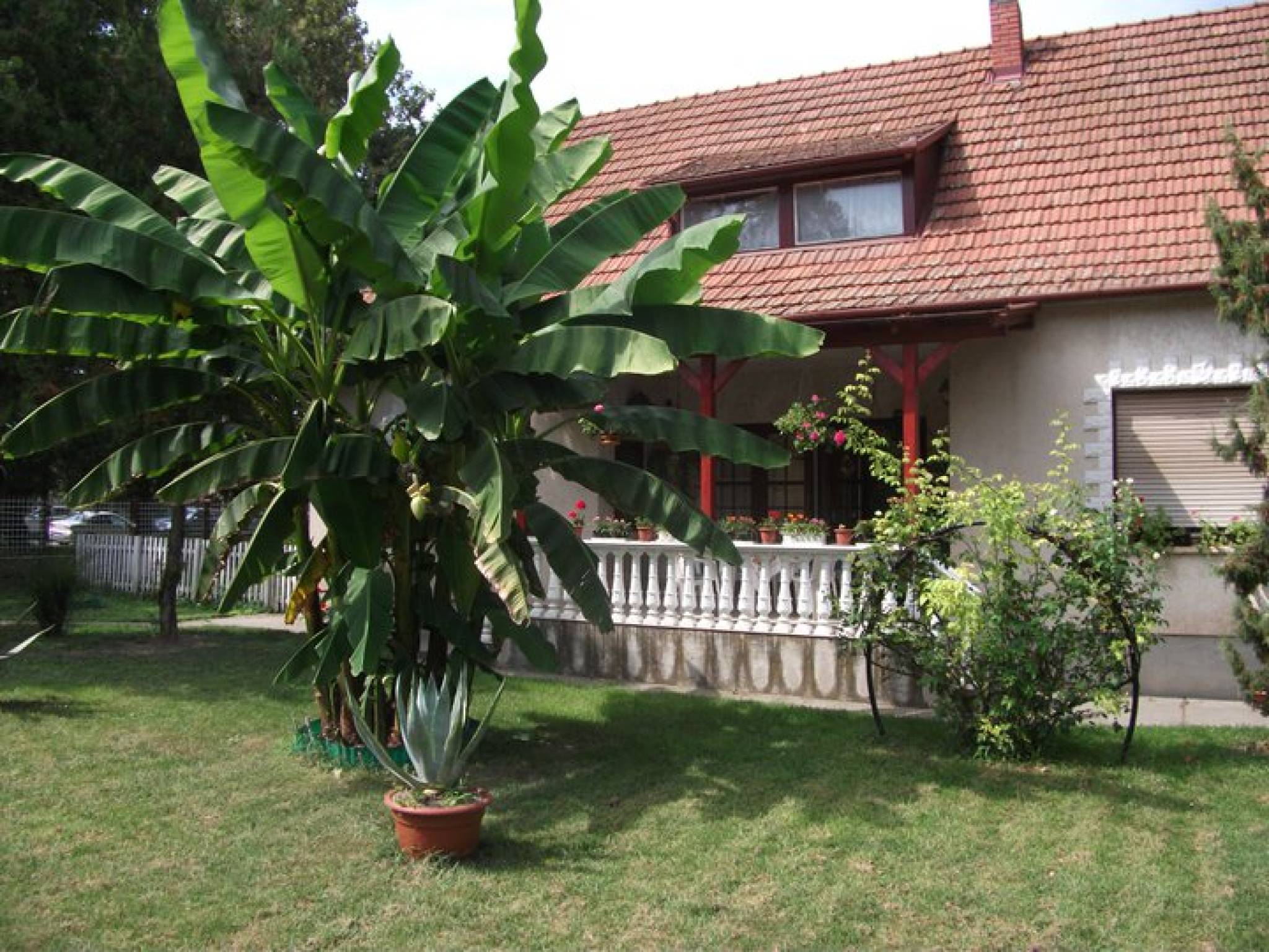 Margit Apartman Siklos