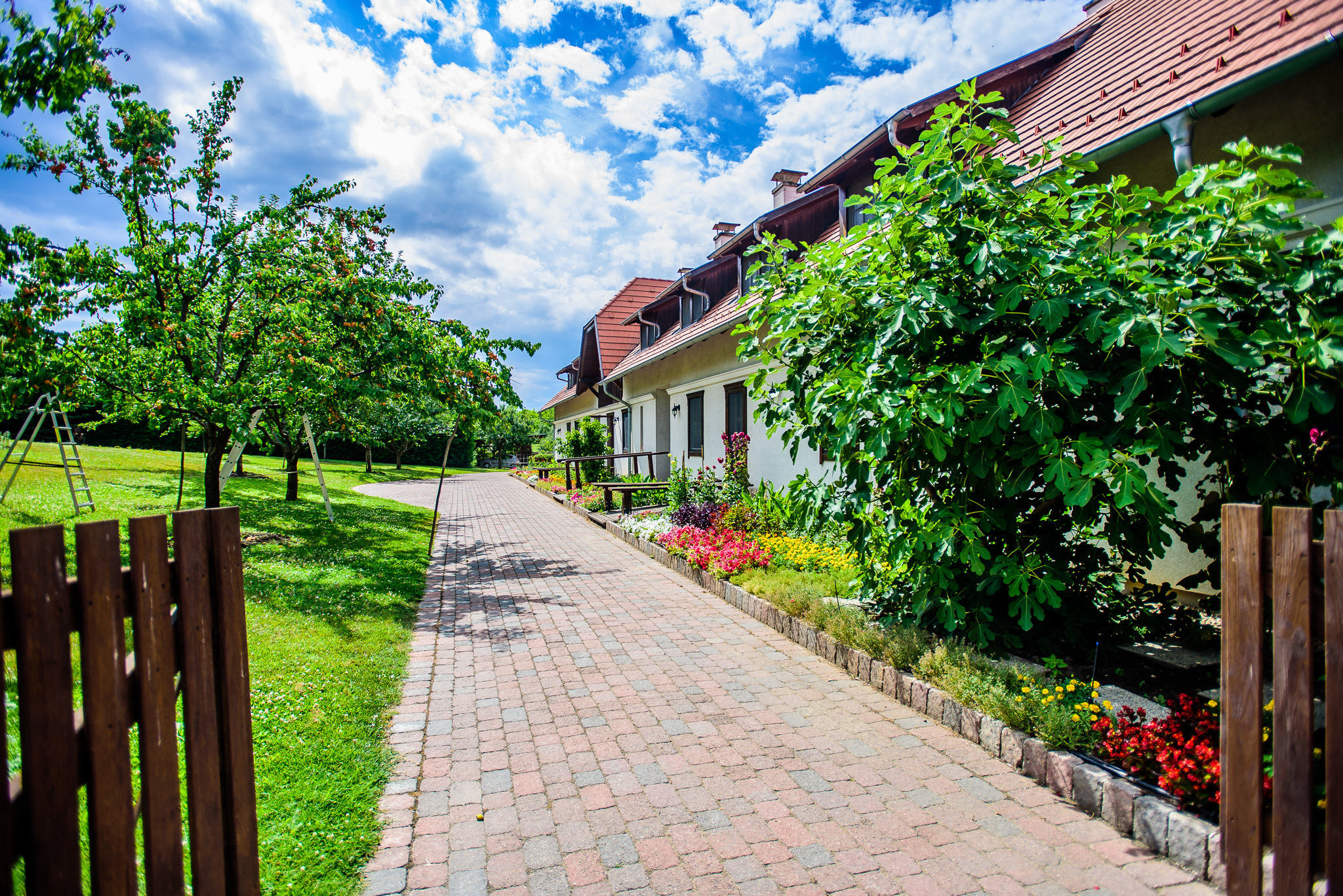 Toreki Apartman Siofok