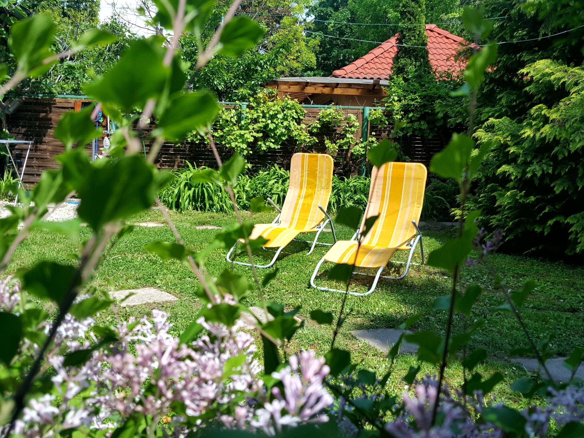 Garden Apartman Siofok