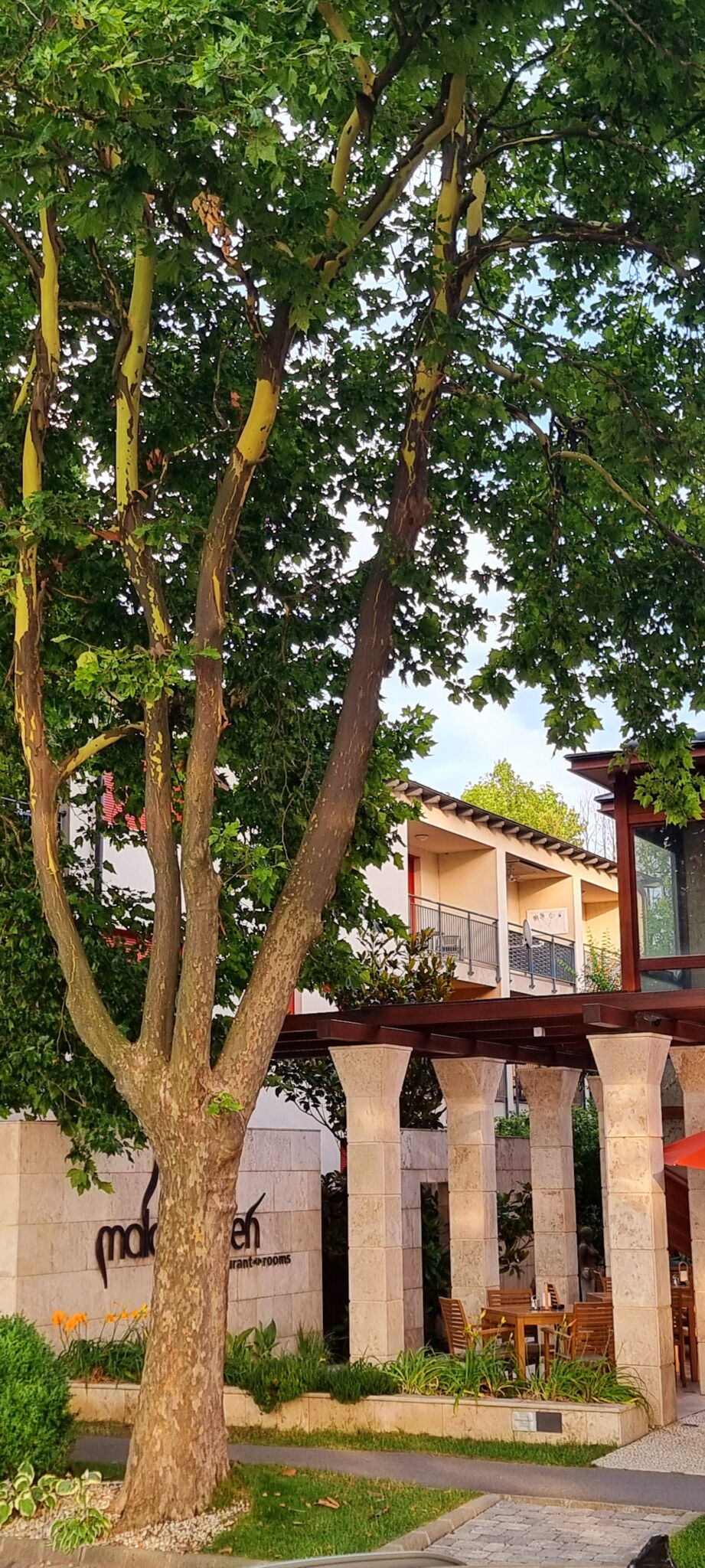 Patti Apartman Siofok