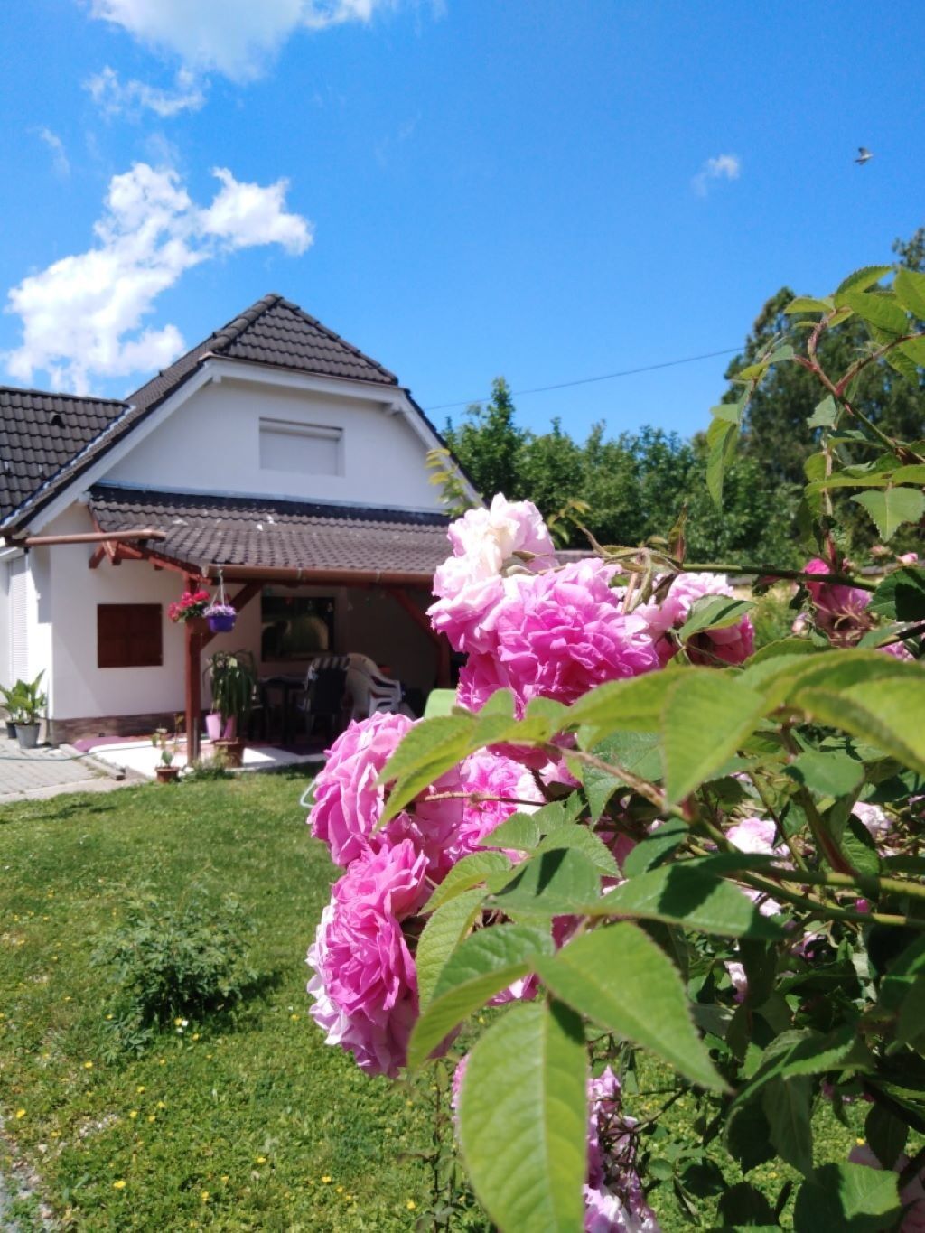 Neo Apartman Siofok