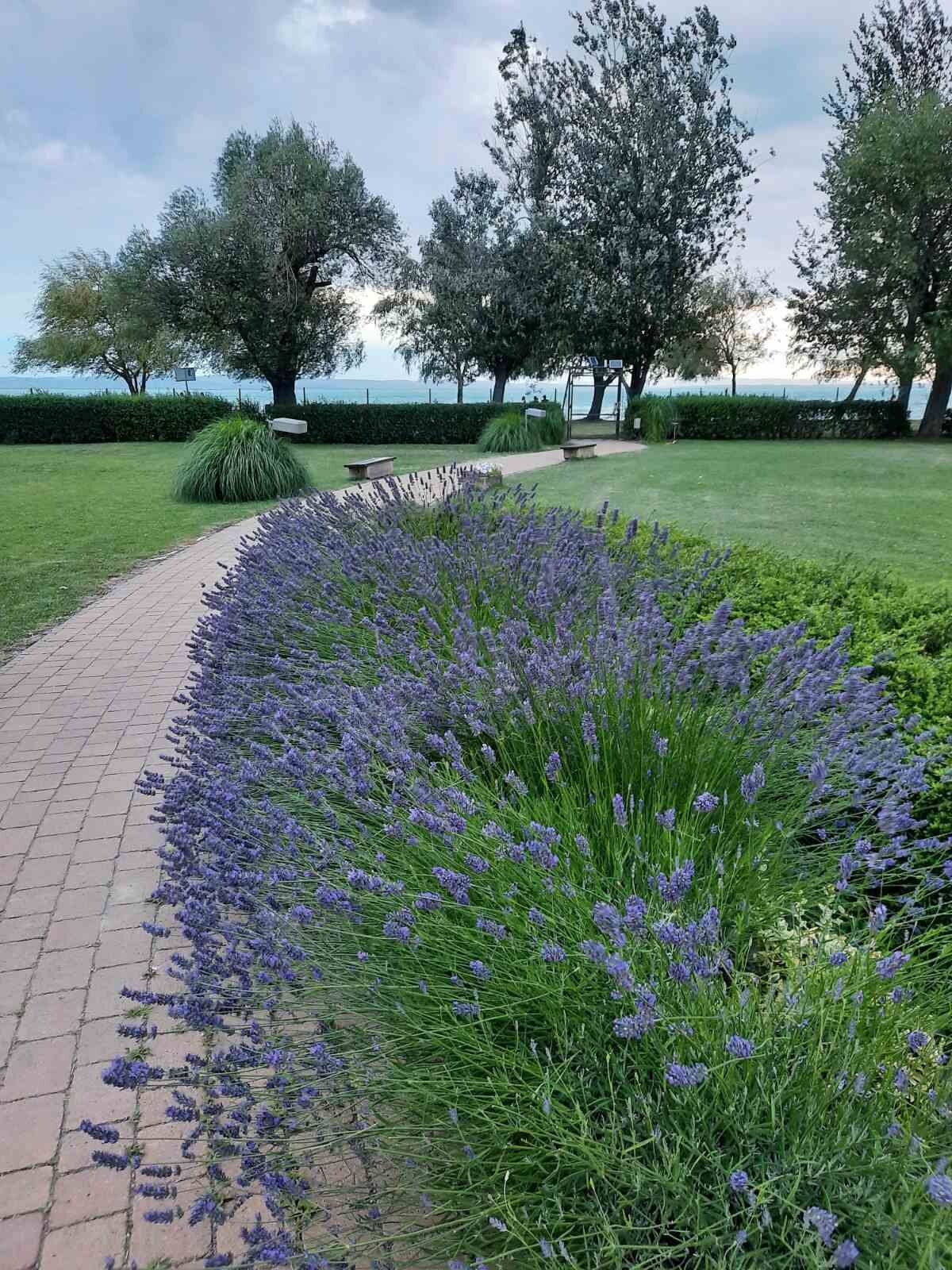 Aranykucko Apartman Siofok