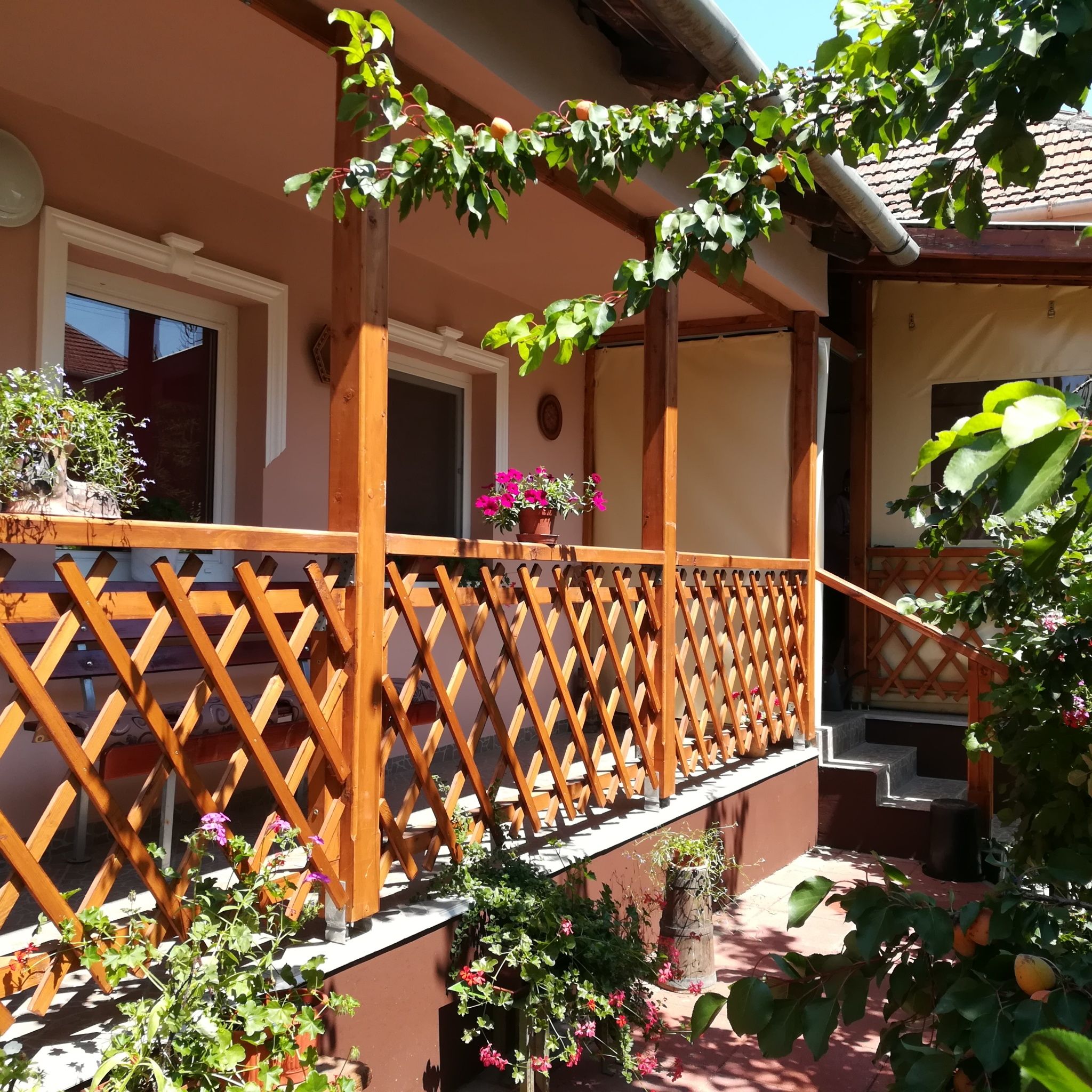 Tiszavirag Apartmanhaz Szeged