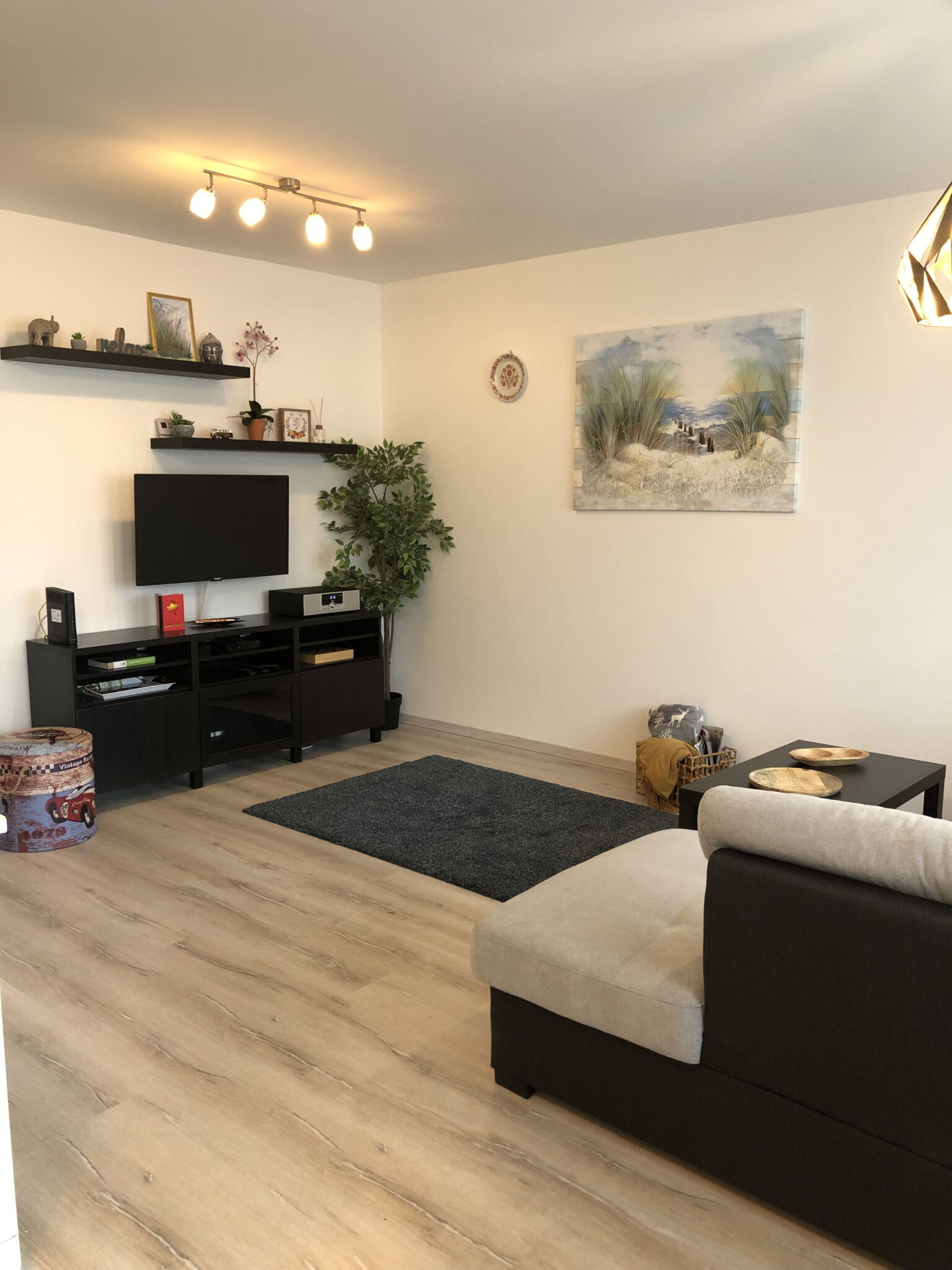 Moonshine Apartman Szeged