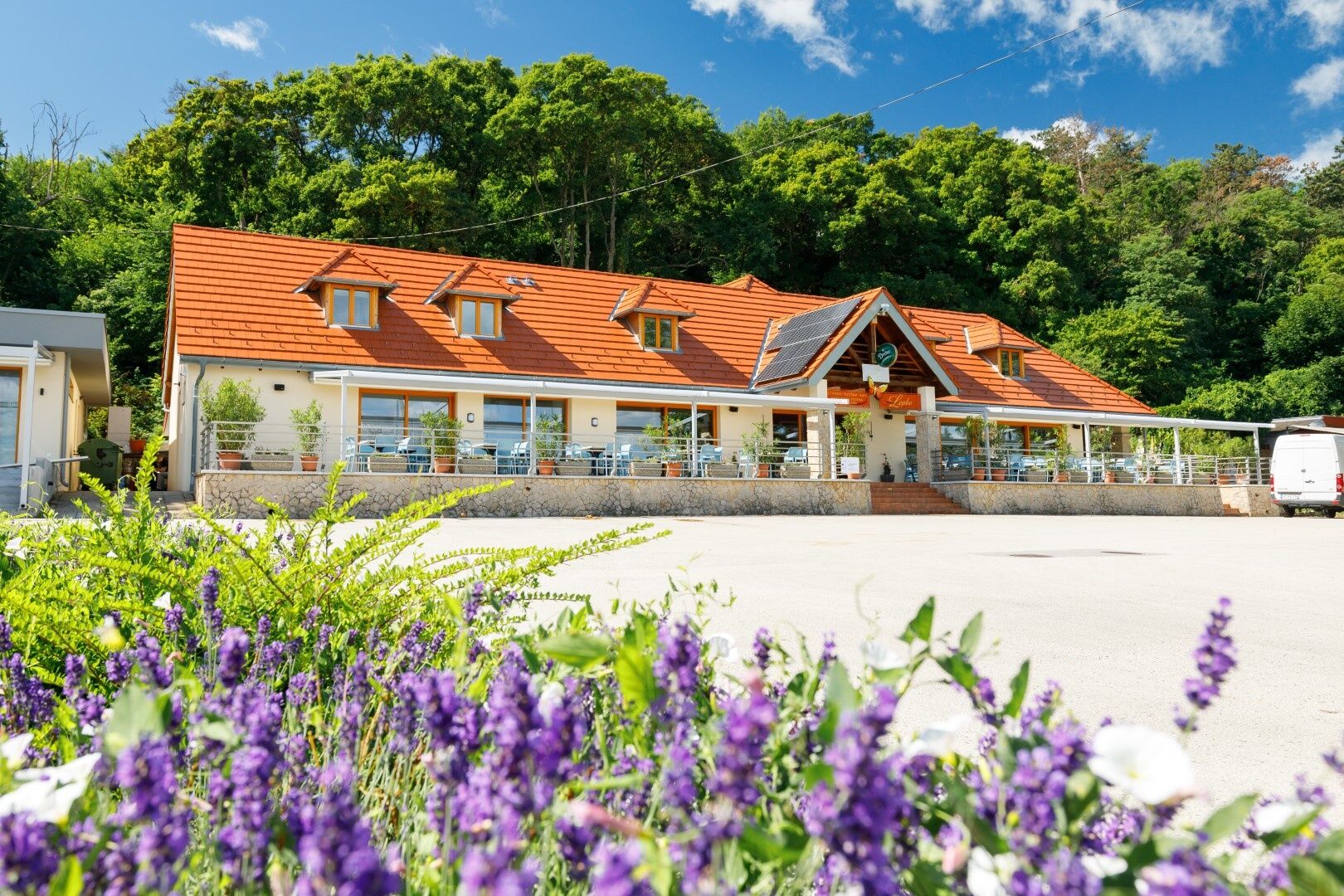 Lepke Etterem Es Apartmanhaz Tihany