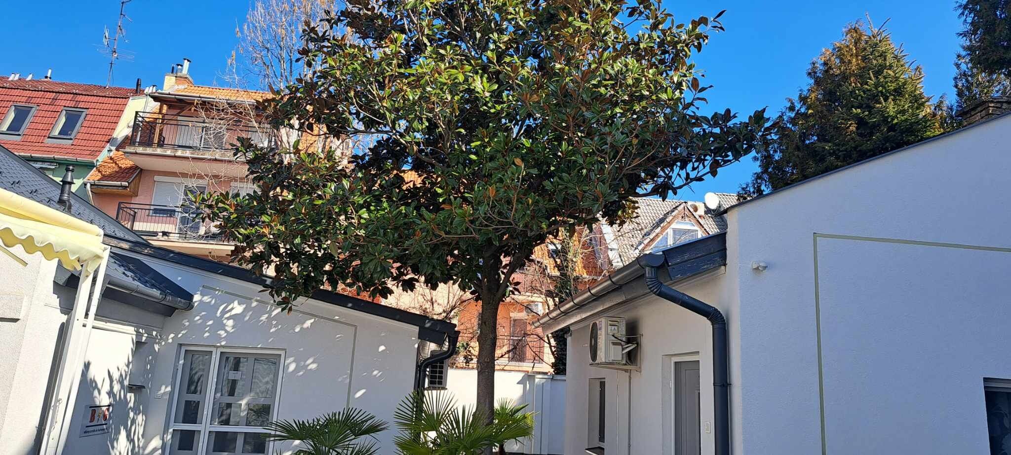 Pompar Magnolia Apartmanok Szeged