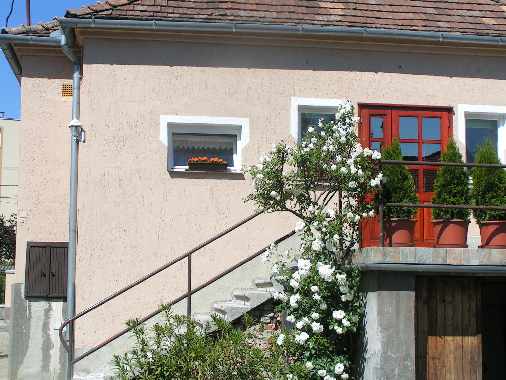 Rita Apartman Szombathely
