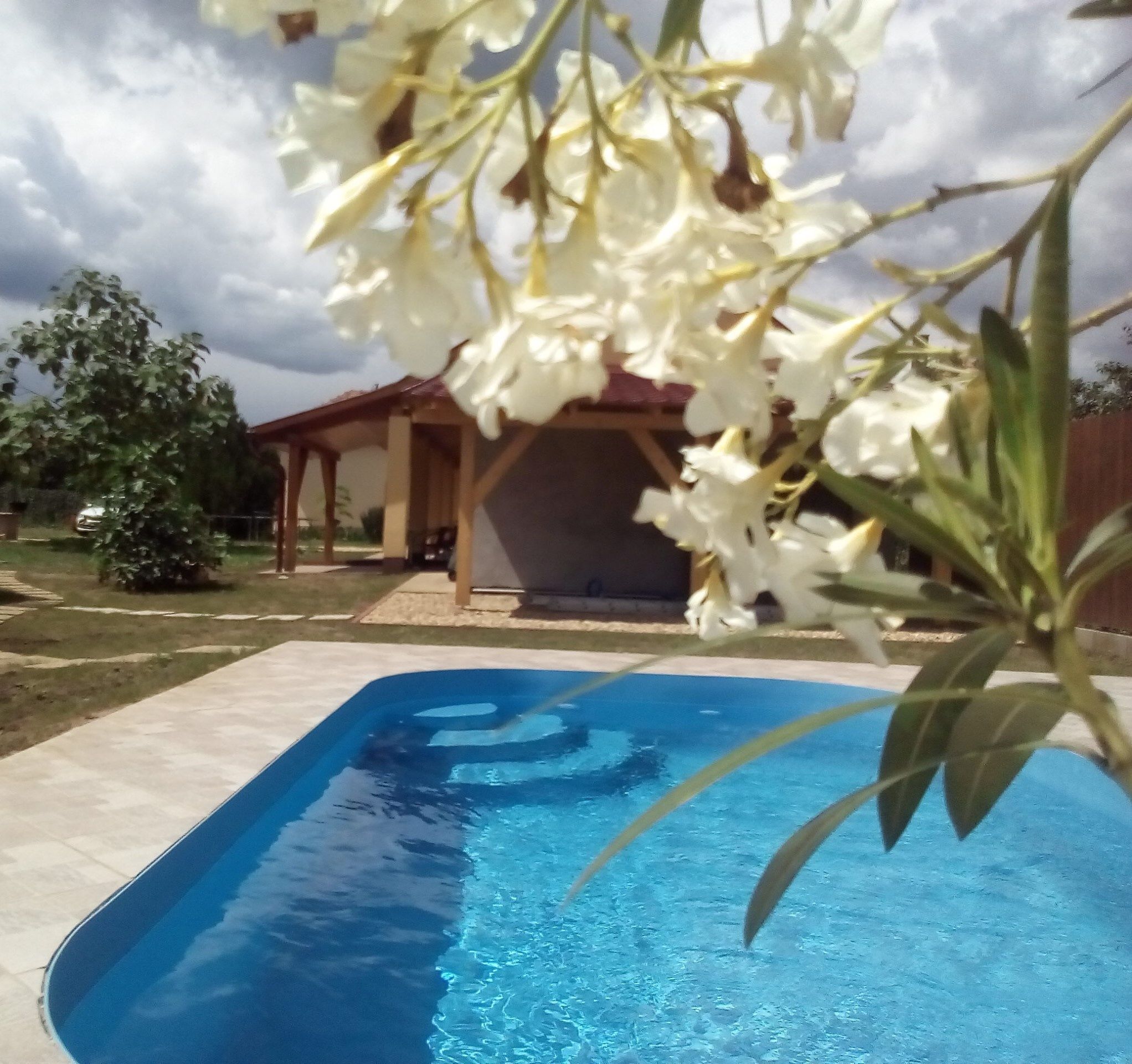 Potyka Apartman Tiszafured