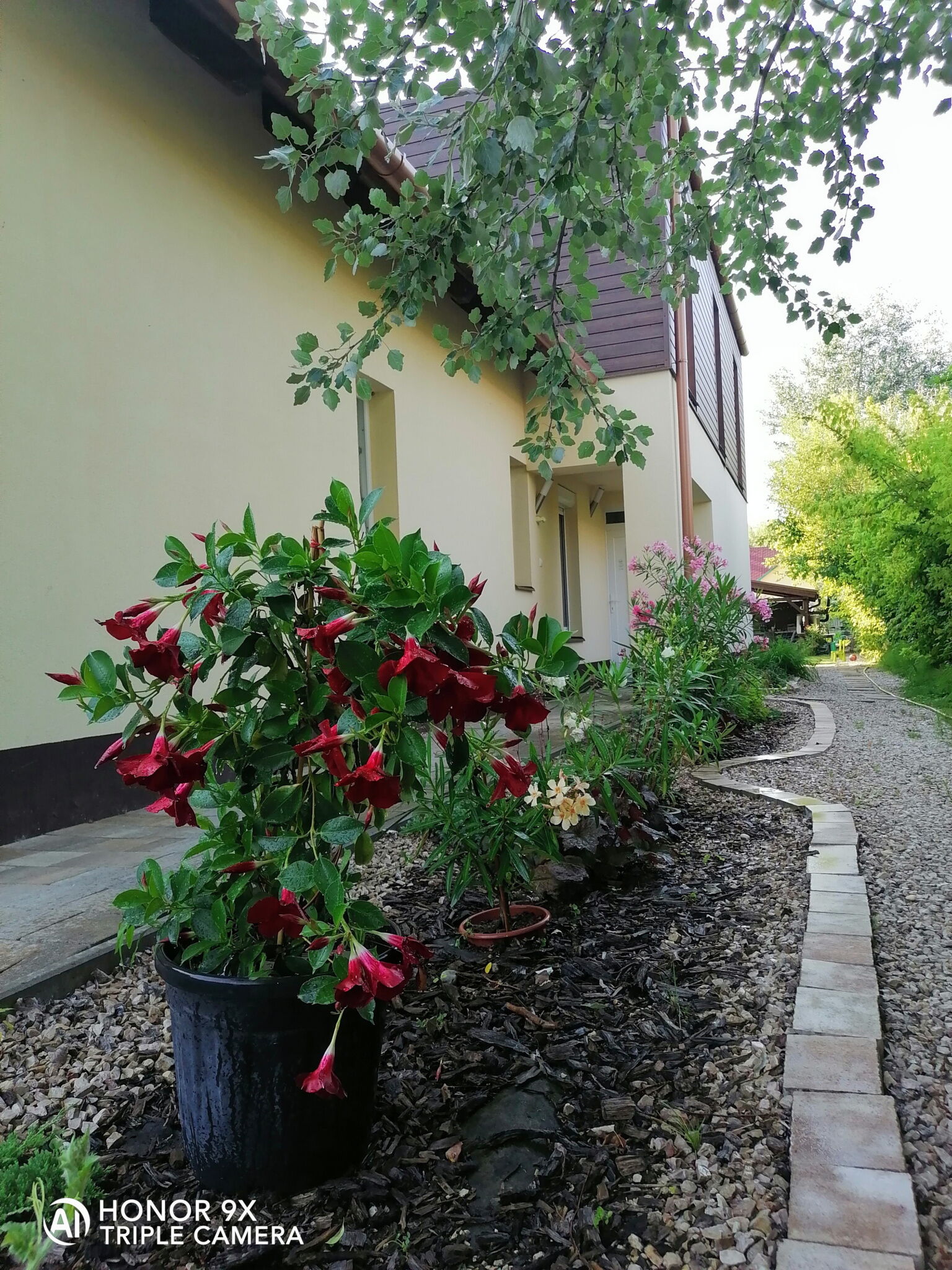 Perfekt Apartman Zamardi