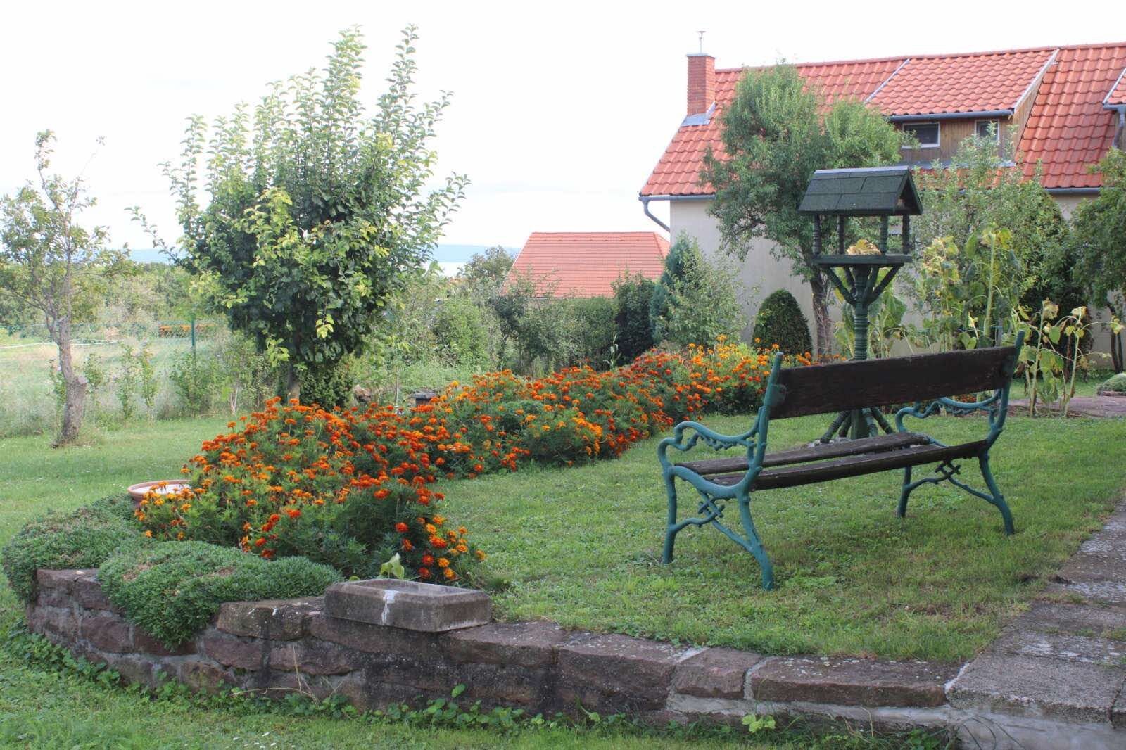 Golden Rose Apartman Zanka