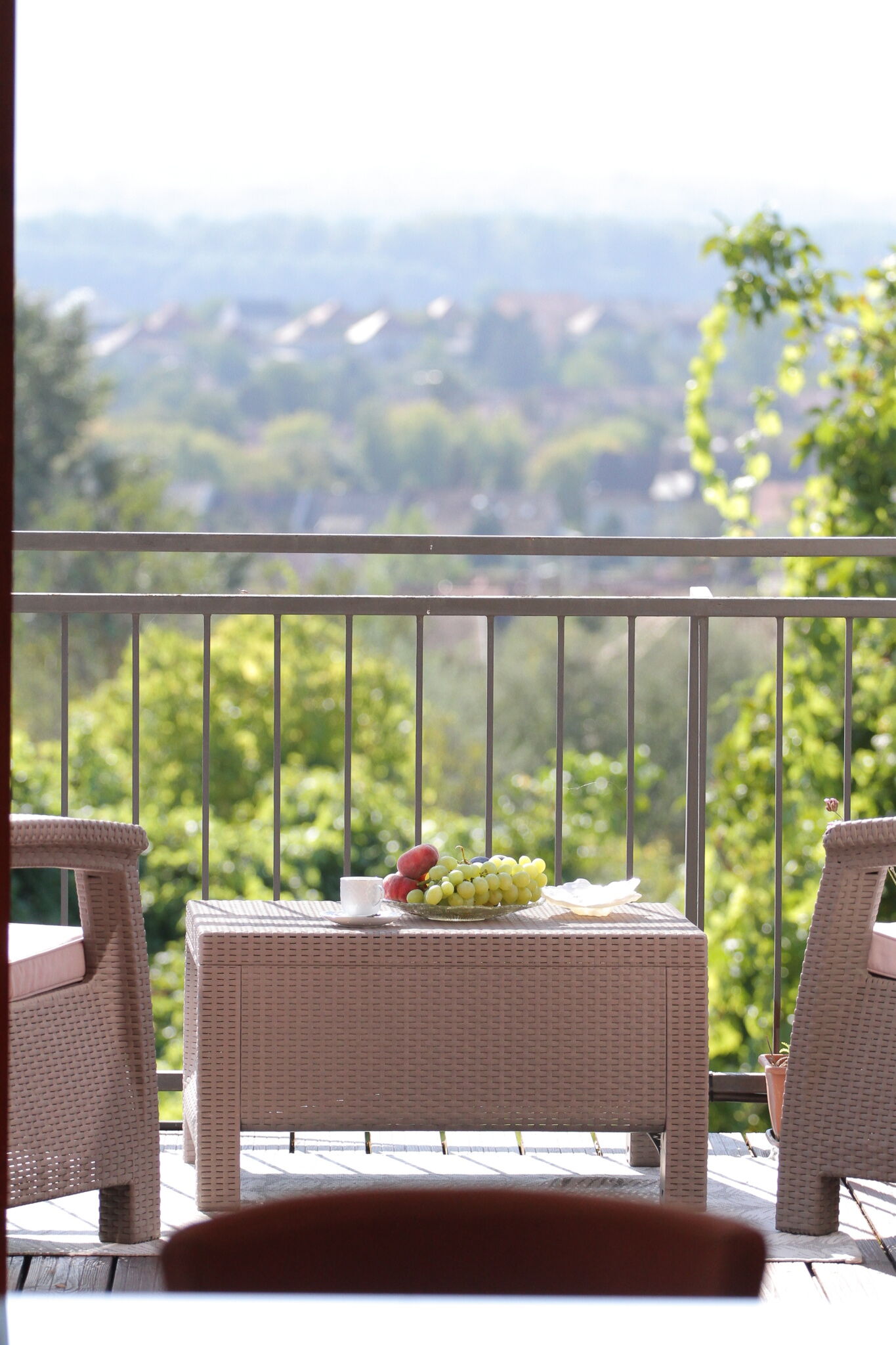 August Panorama Apartman Vac