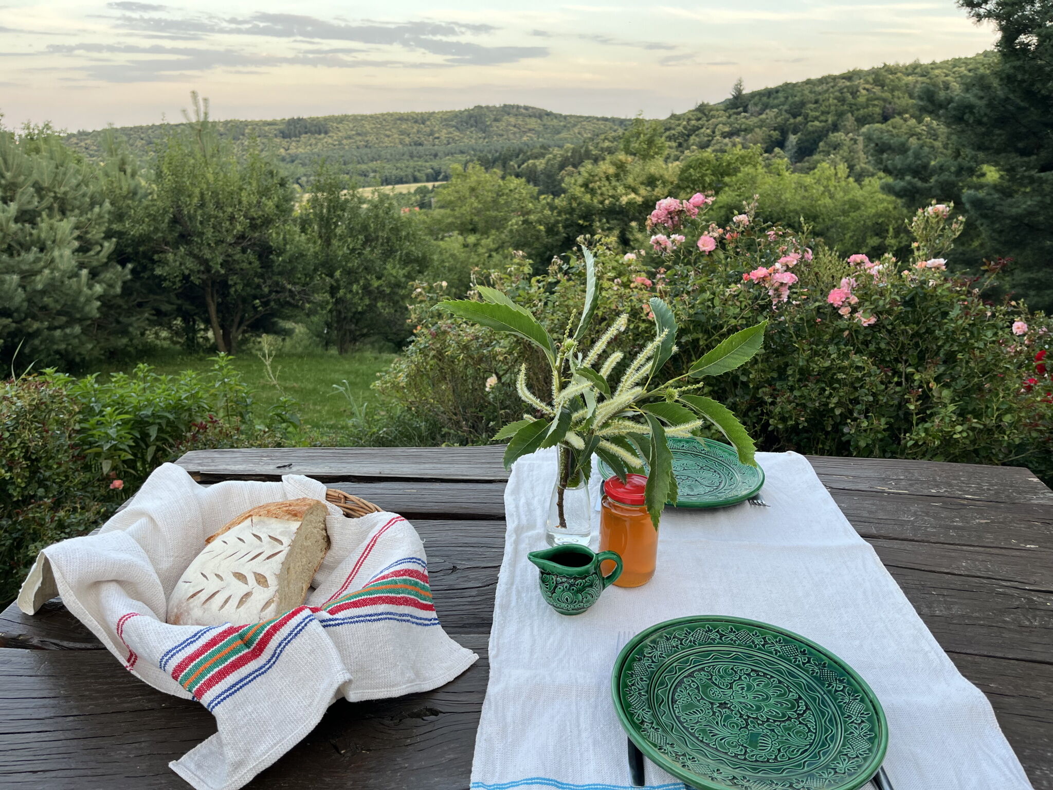 Ciklamen Apartman Velem