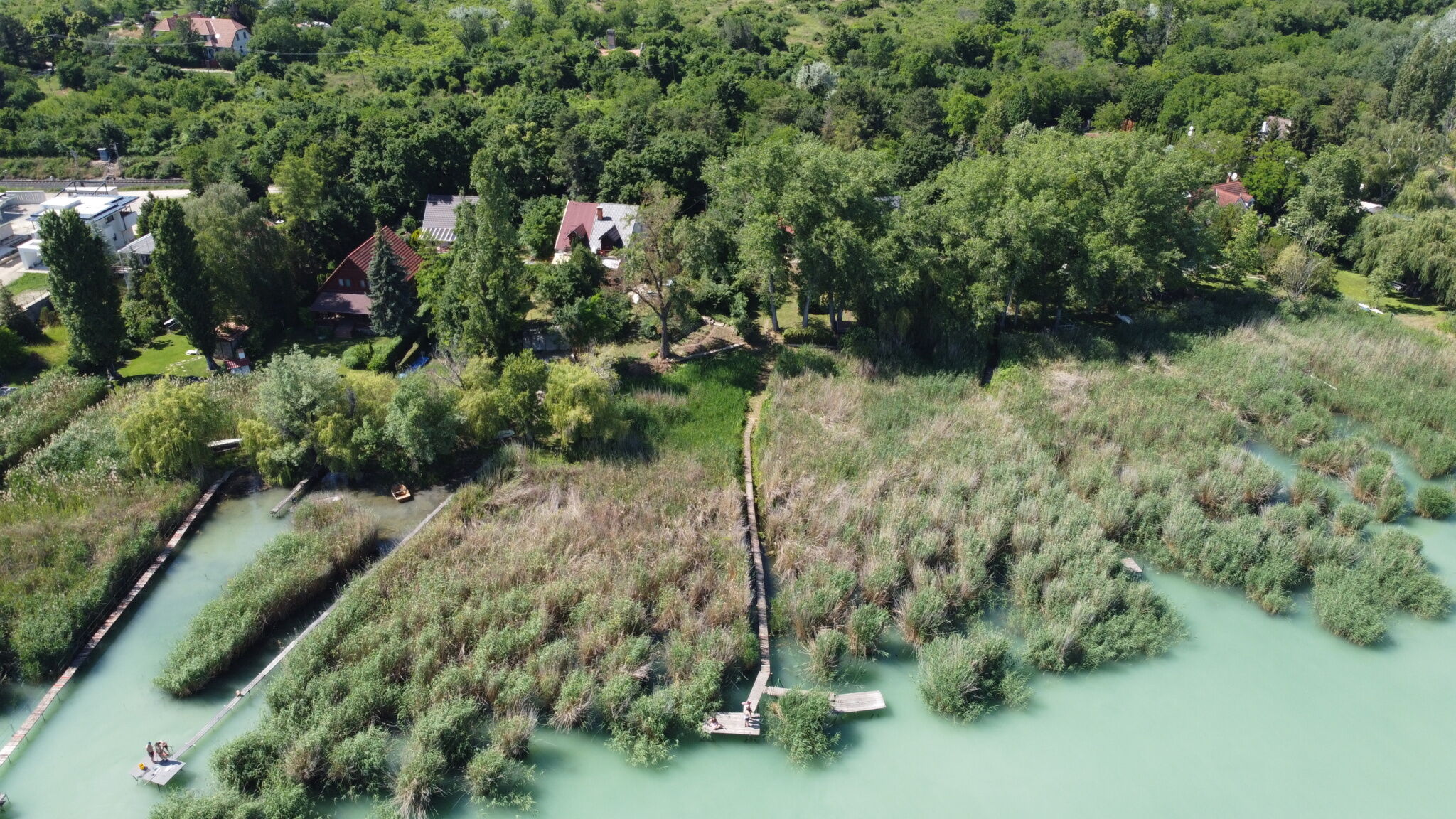 Akali Fahaz Balatonakali