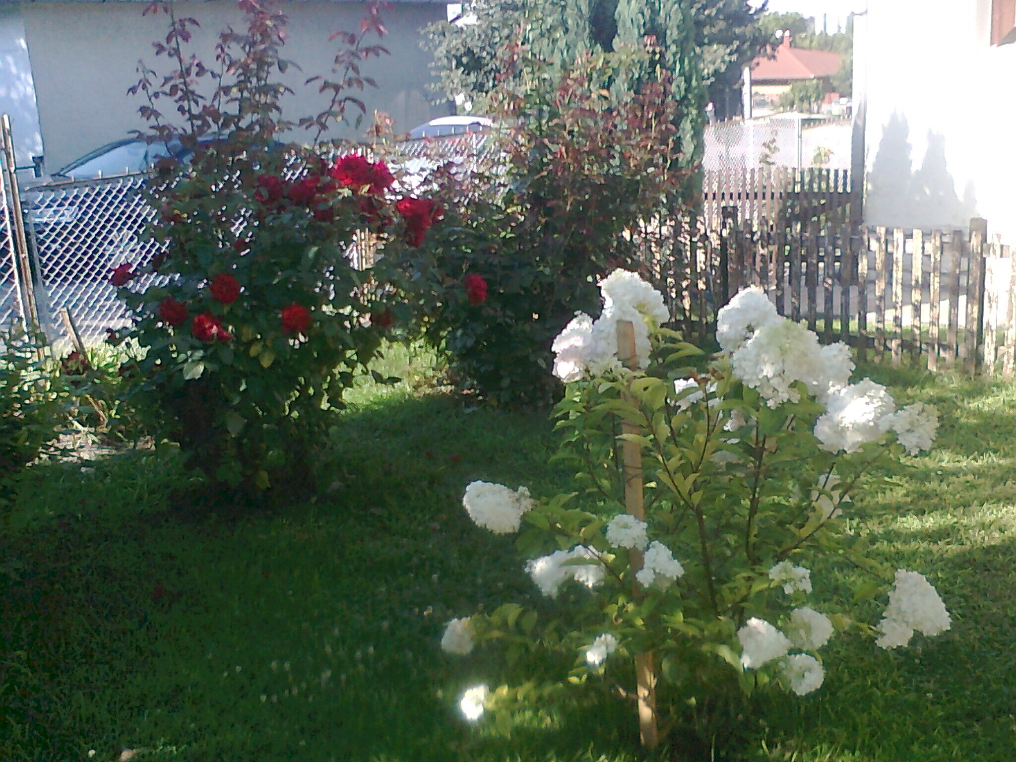 Smaragd Villa Balatonboglar