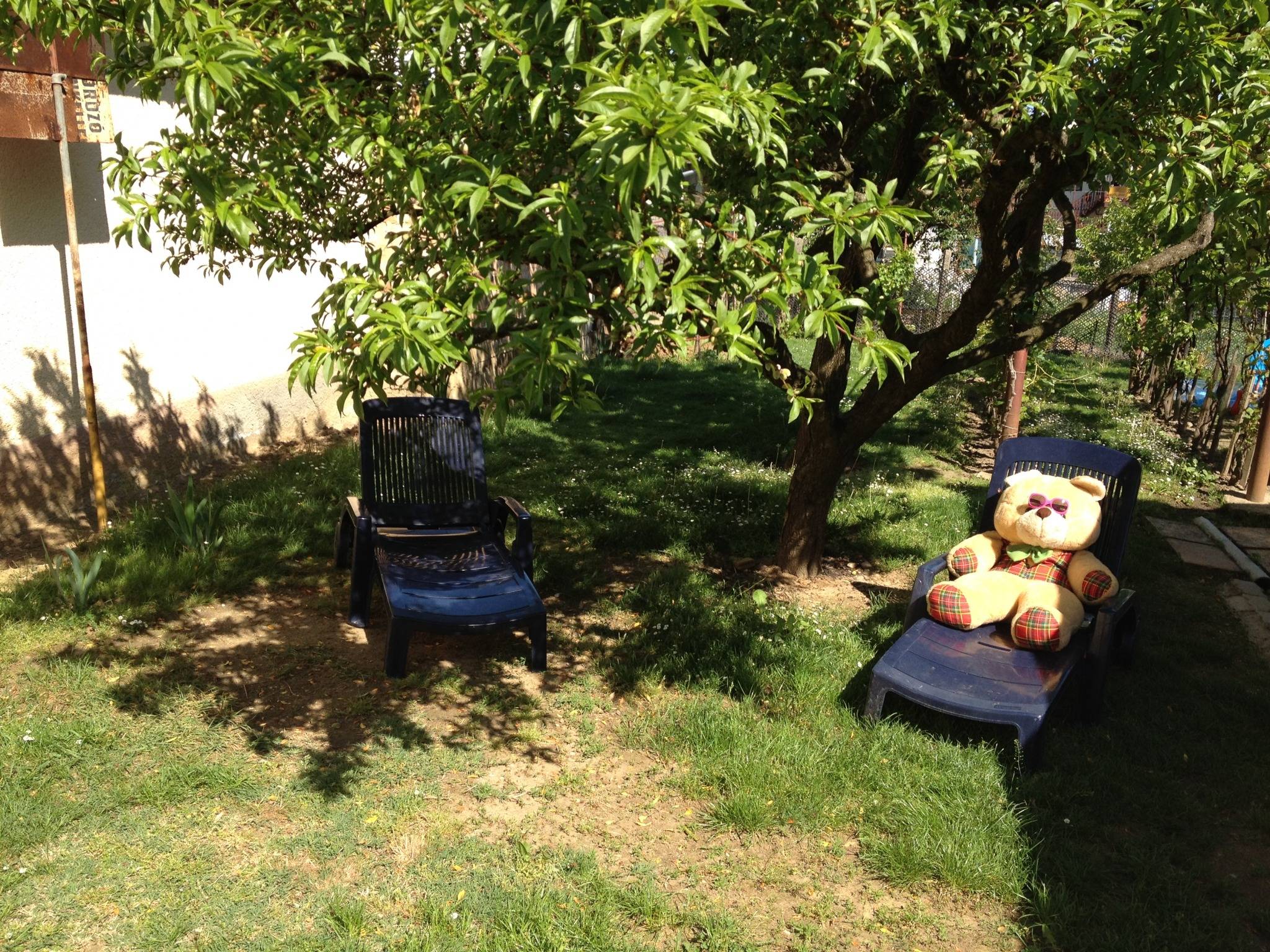 Teddy Bear House Balatonfoldvar
