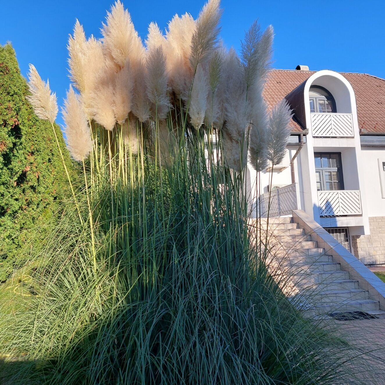 Napfeny Villa Balatonfured
