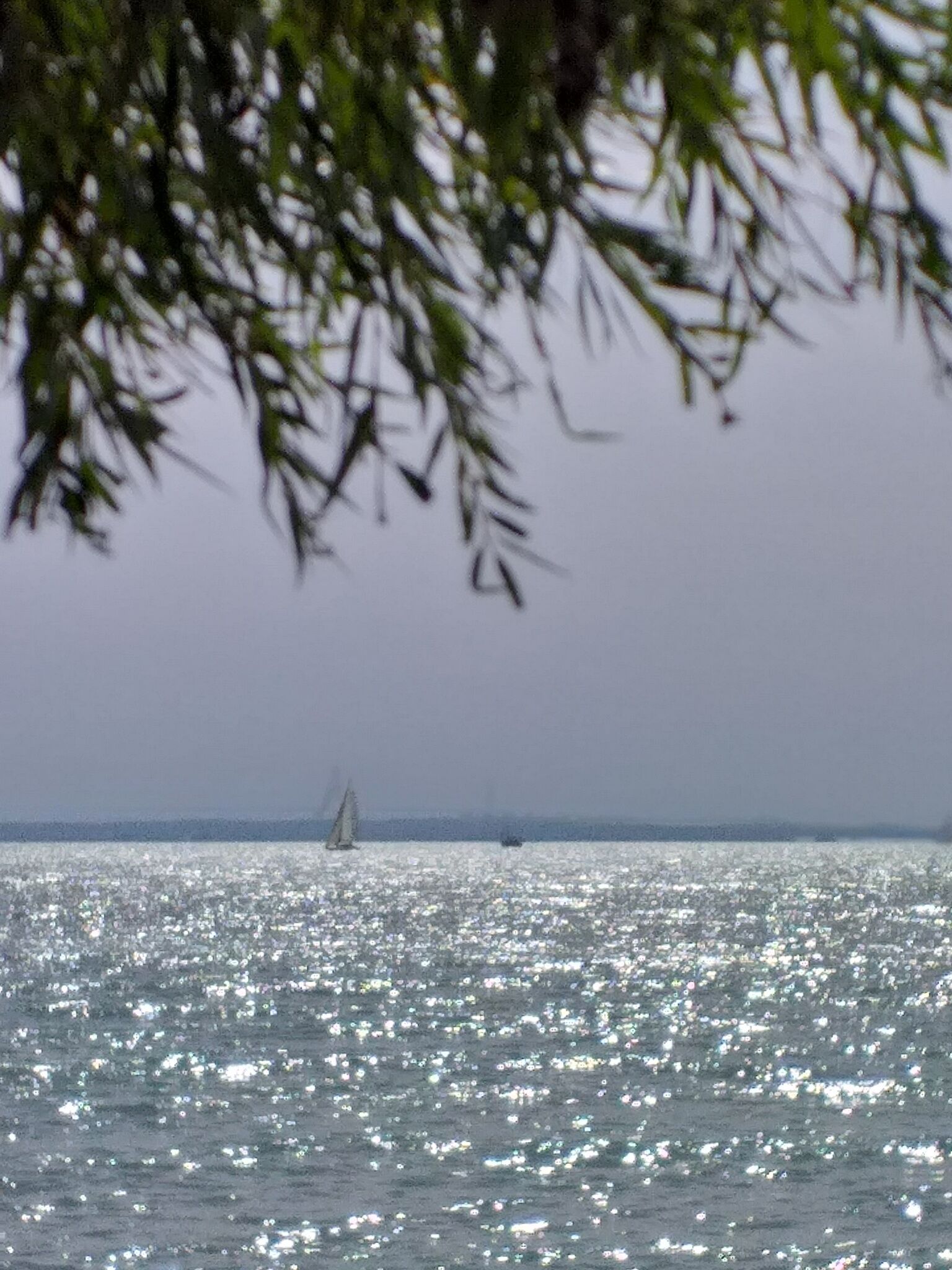 Pipiter Fahaz Balatonfuzfo