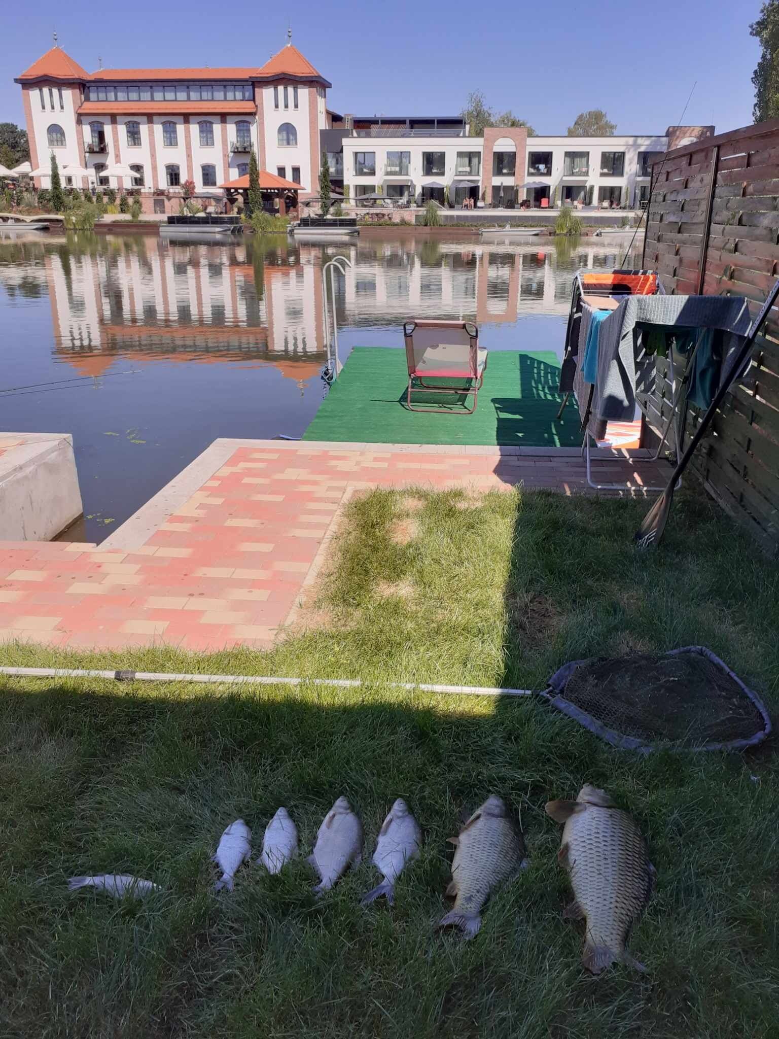 Muveszhaz Nyaralo Békésszentandrás