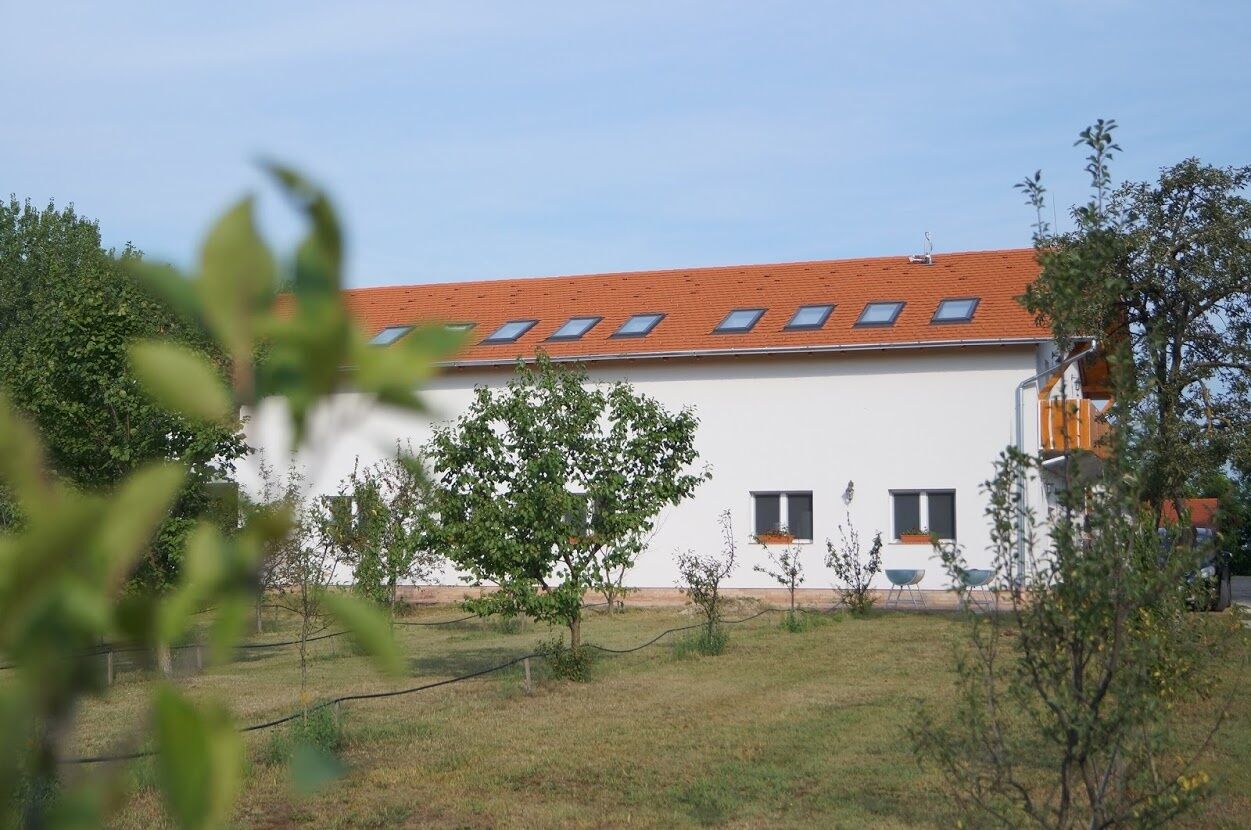 Pottyos Tanya Csongrad Bokros