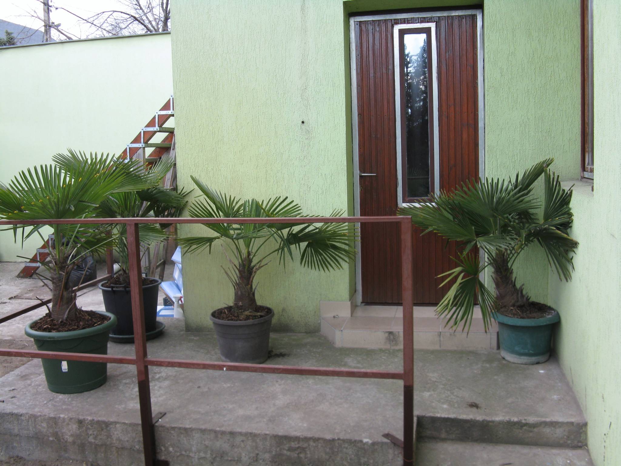 Karpati Motel Budapest